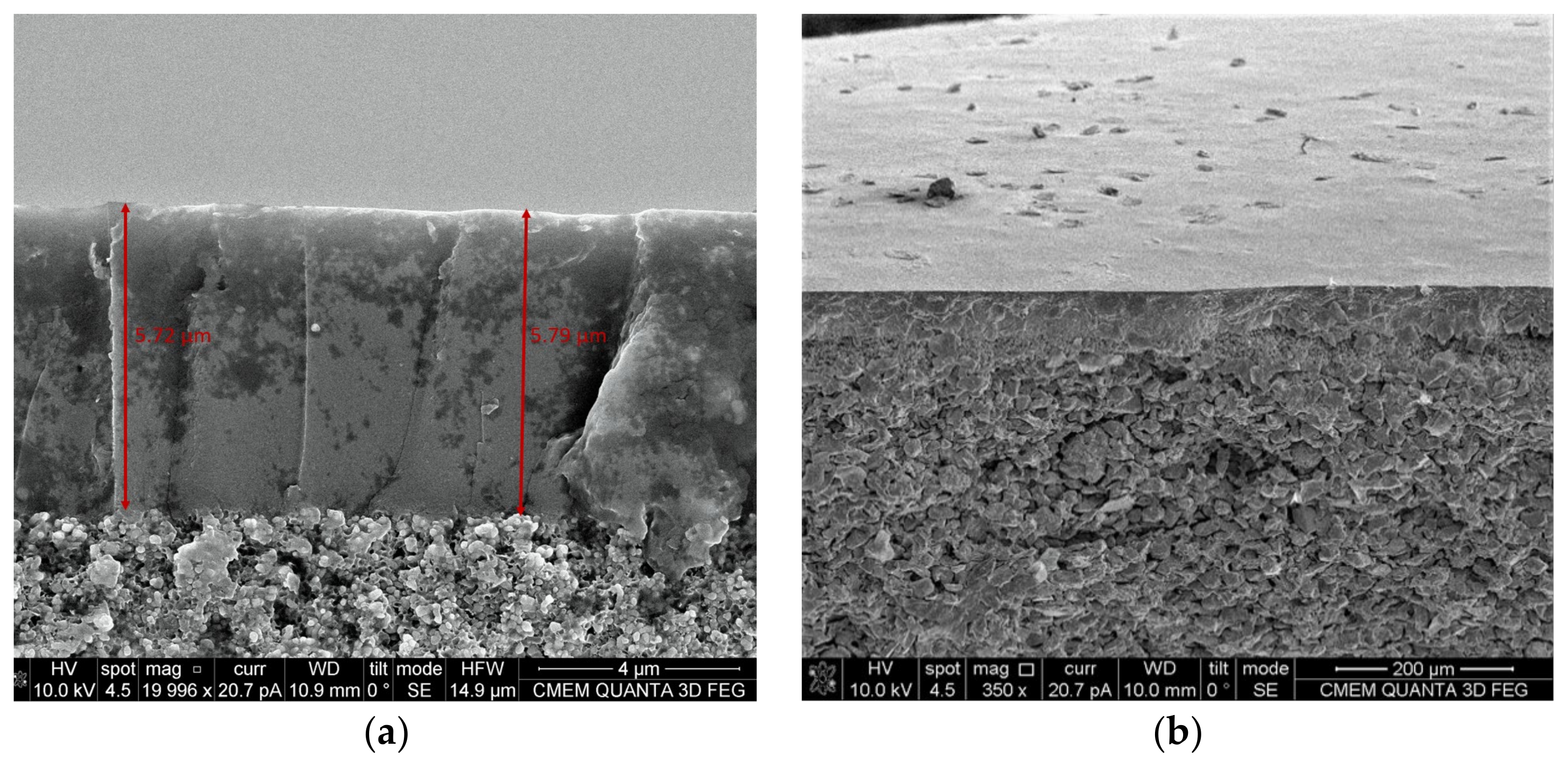 Membranes 12 00847 g005