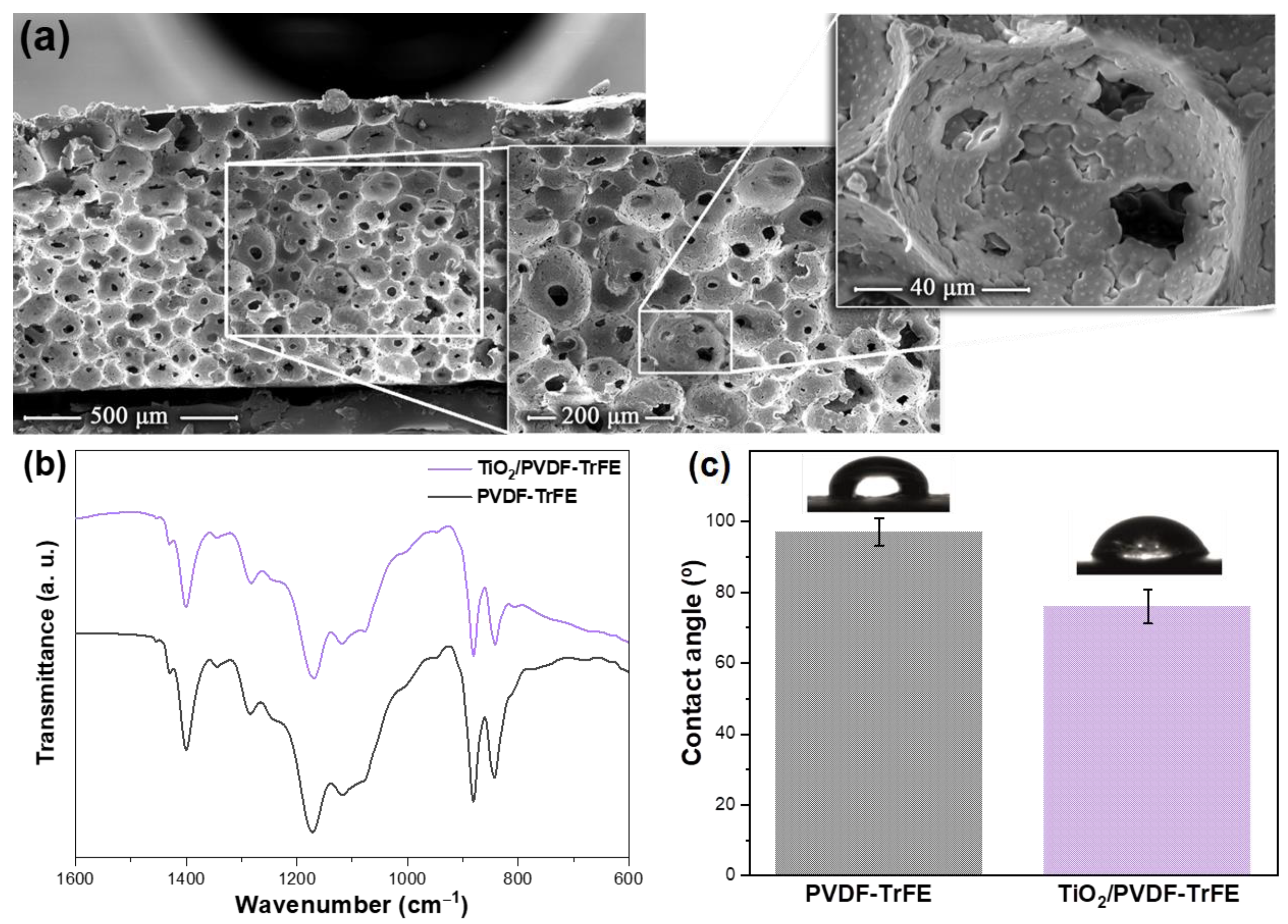 Membranes 12 00849 g002