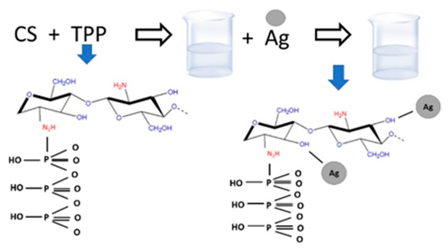 Membranes 12 00851 g001 550