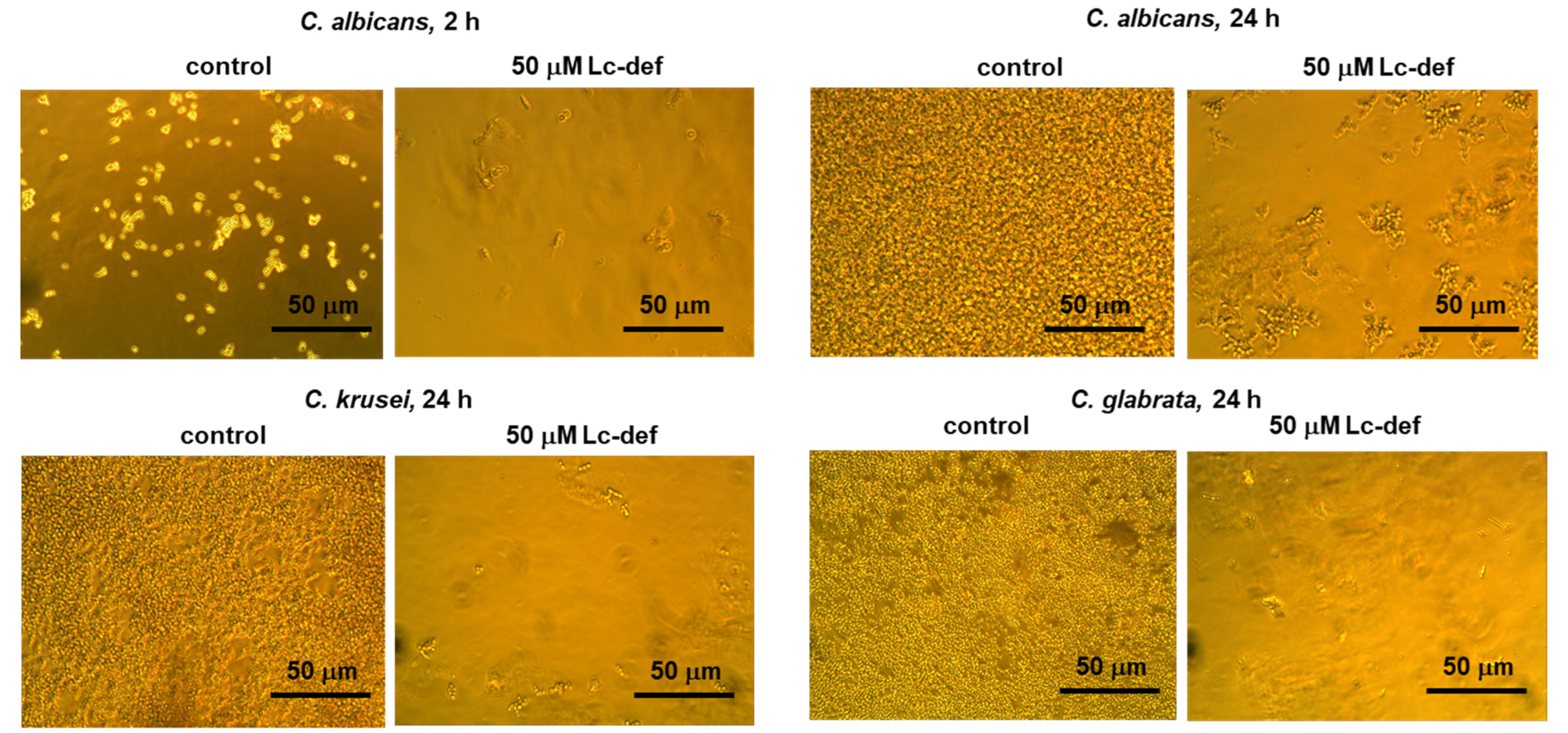 Membranes 12 00855 g002 550