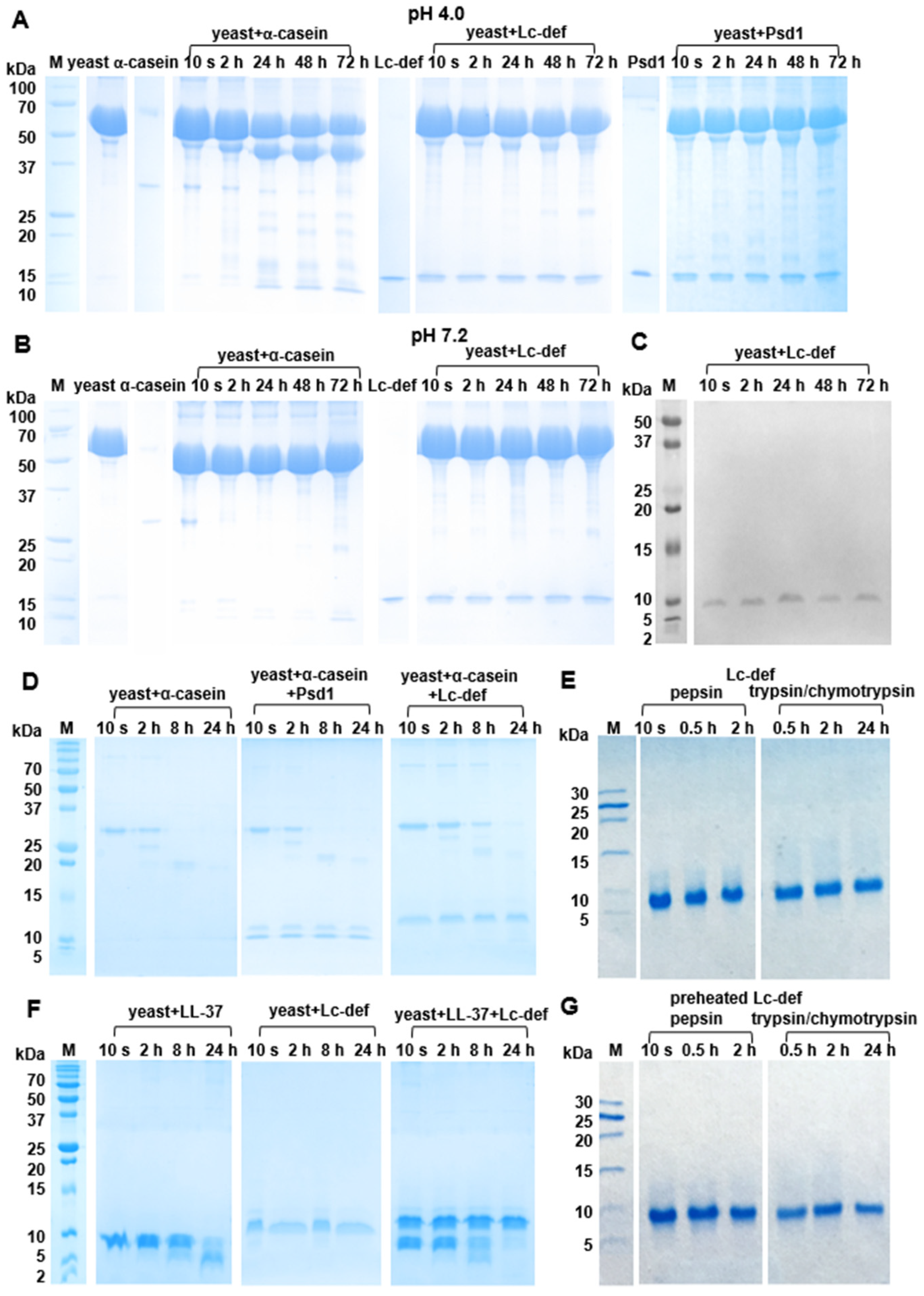 Membranes 12 00855 g004 550