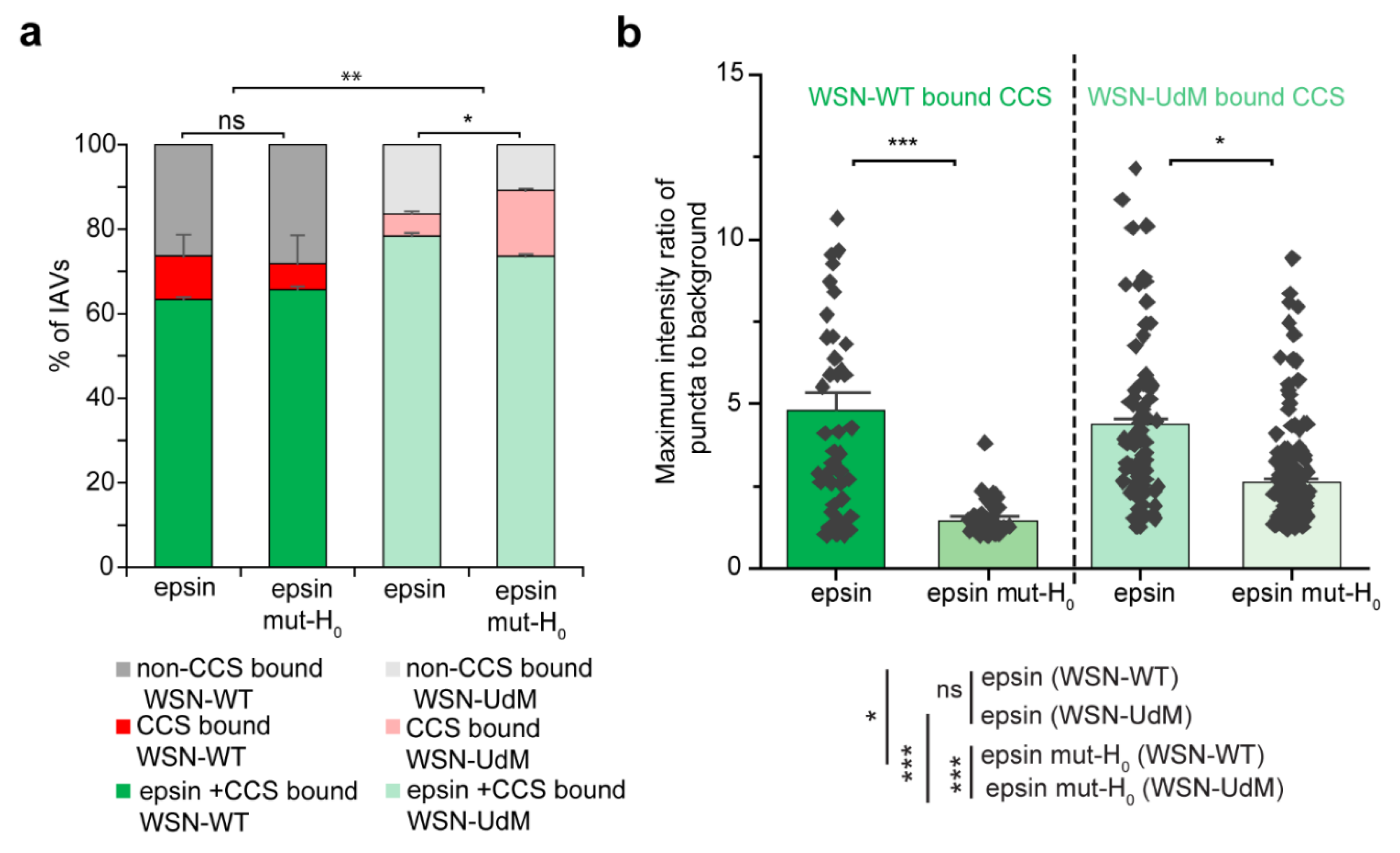 Membranes 12 00859 g006