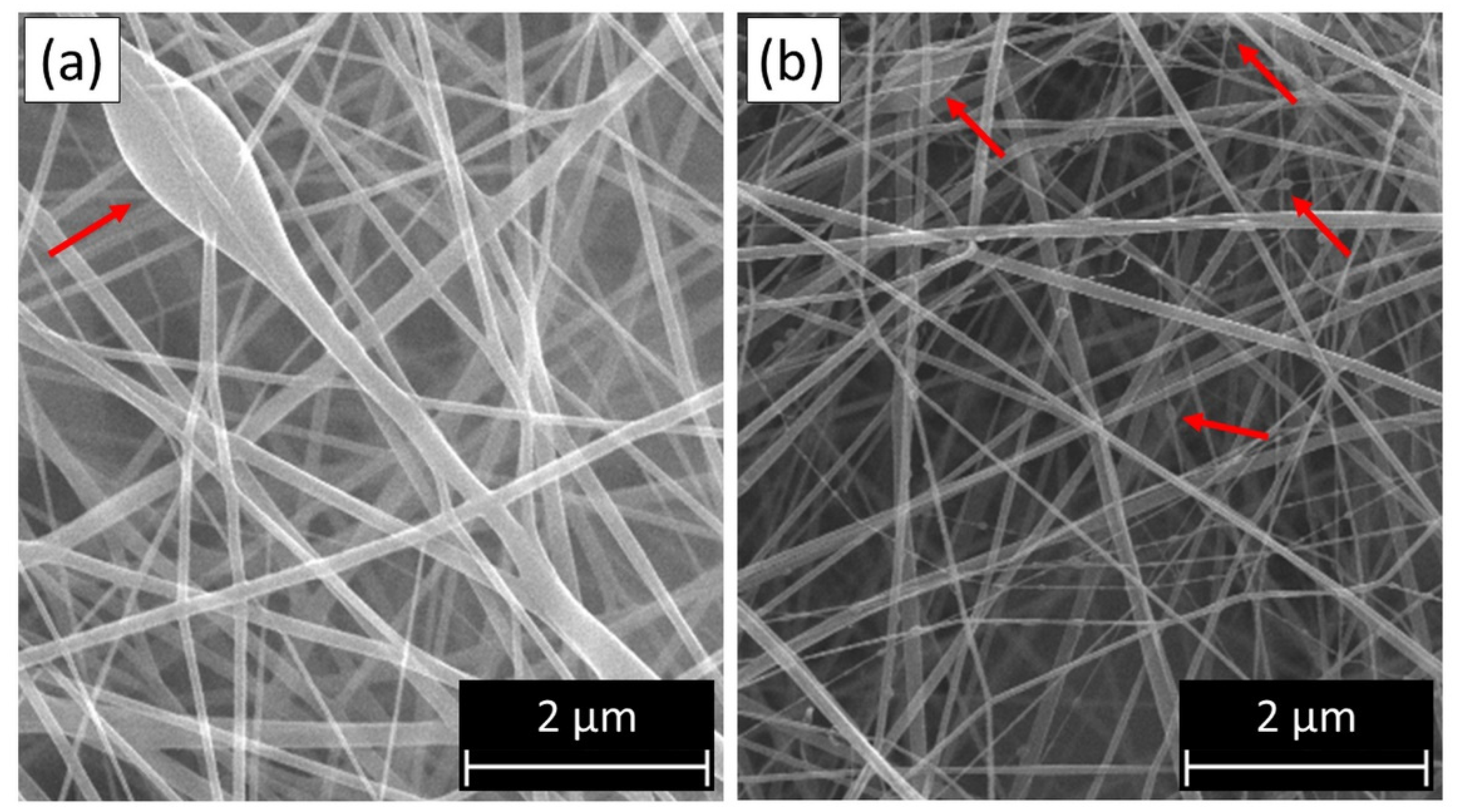 Membranes 12 00861 g002