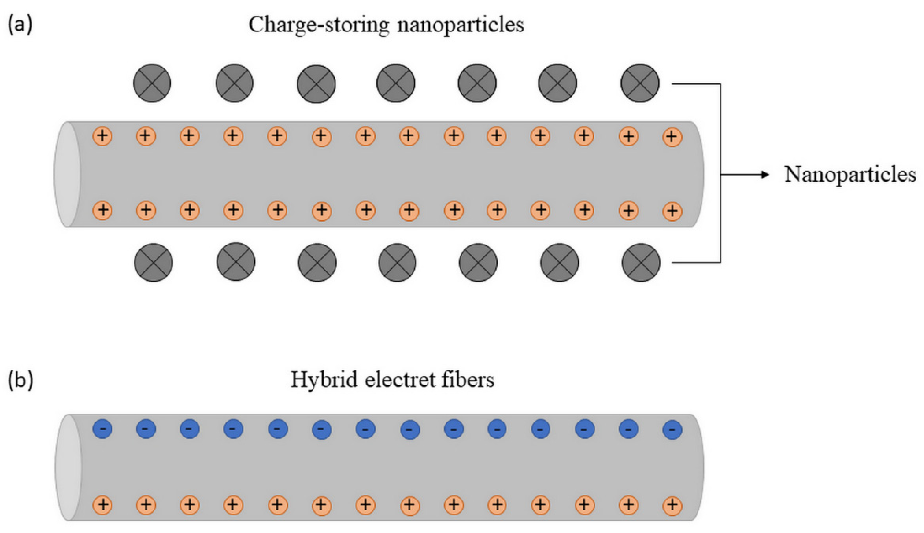 Membranes 12 00861 g006
