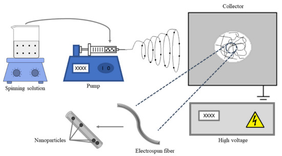 Modification and Functionalization of Fibers Formed by