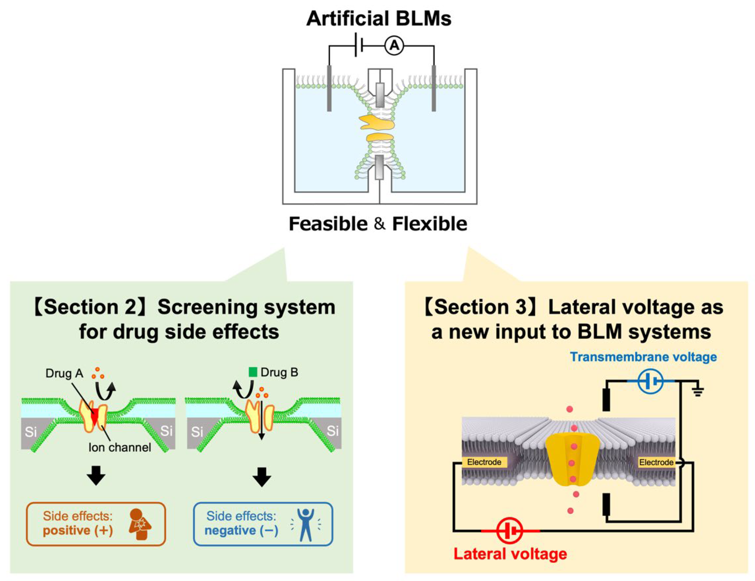 Membranes 12 00863 g001