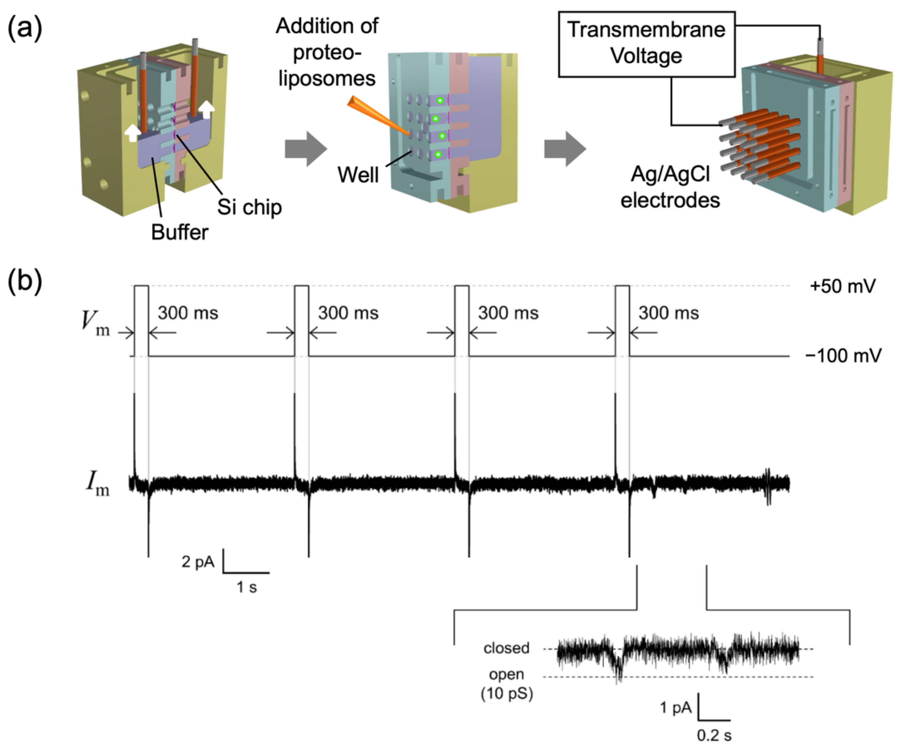 Membranes 12 00863 g005