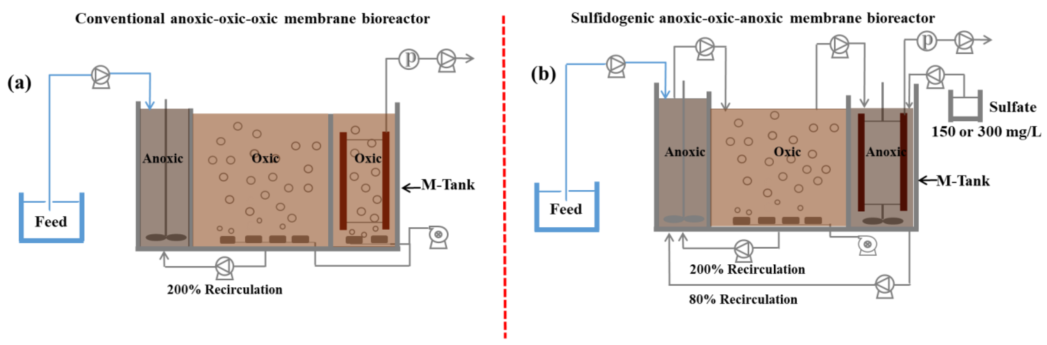 Membranes 12 00865 g001