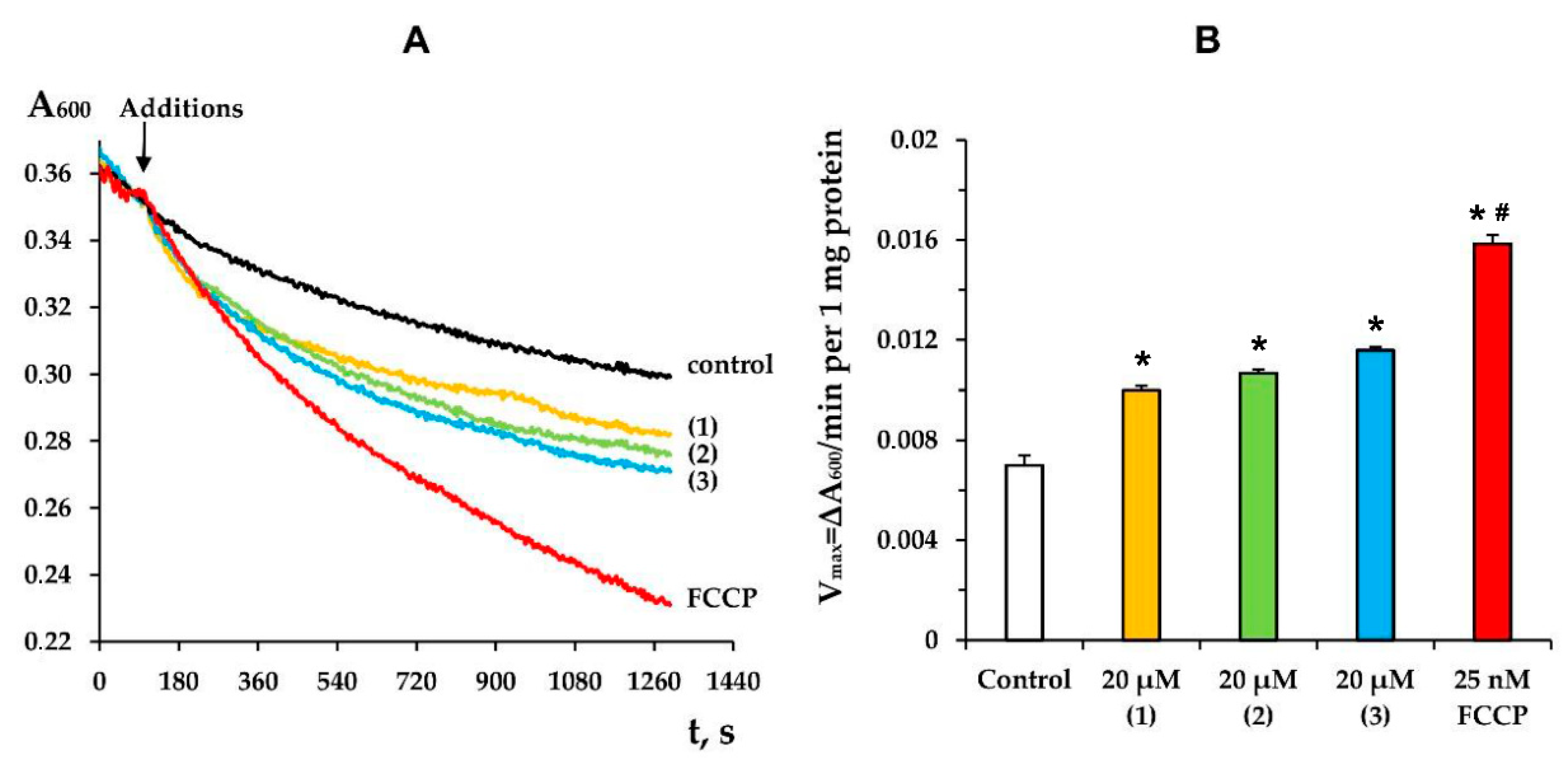 Membranes 12 00866 g003