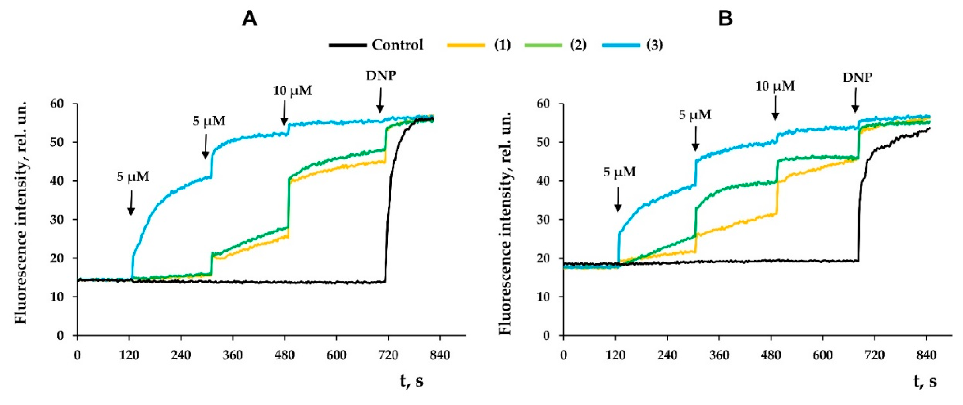 Membranes 12 00866 g004