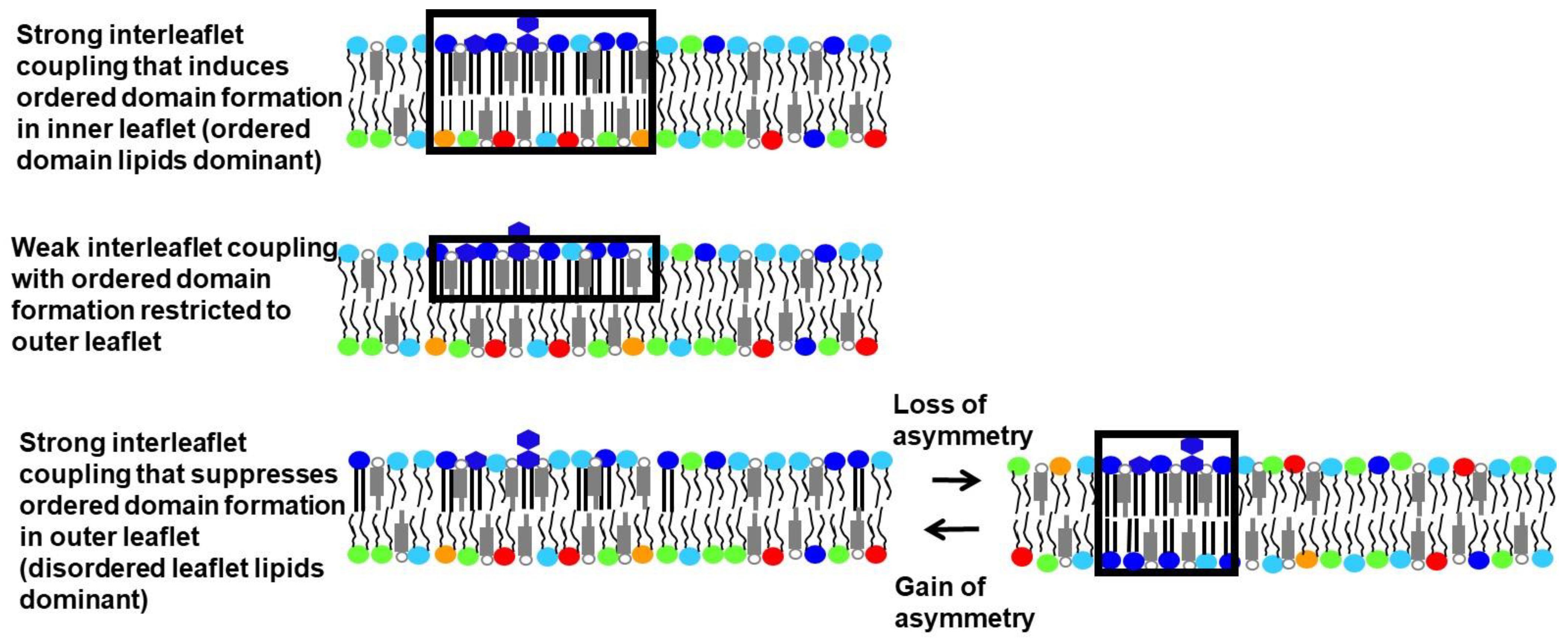 Membranes 12 00870 g001 550