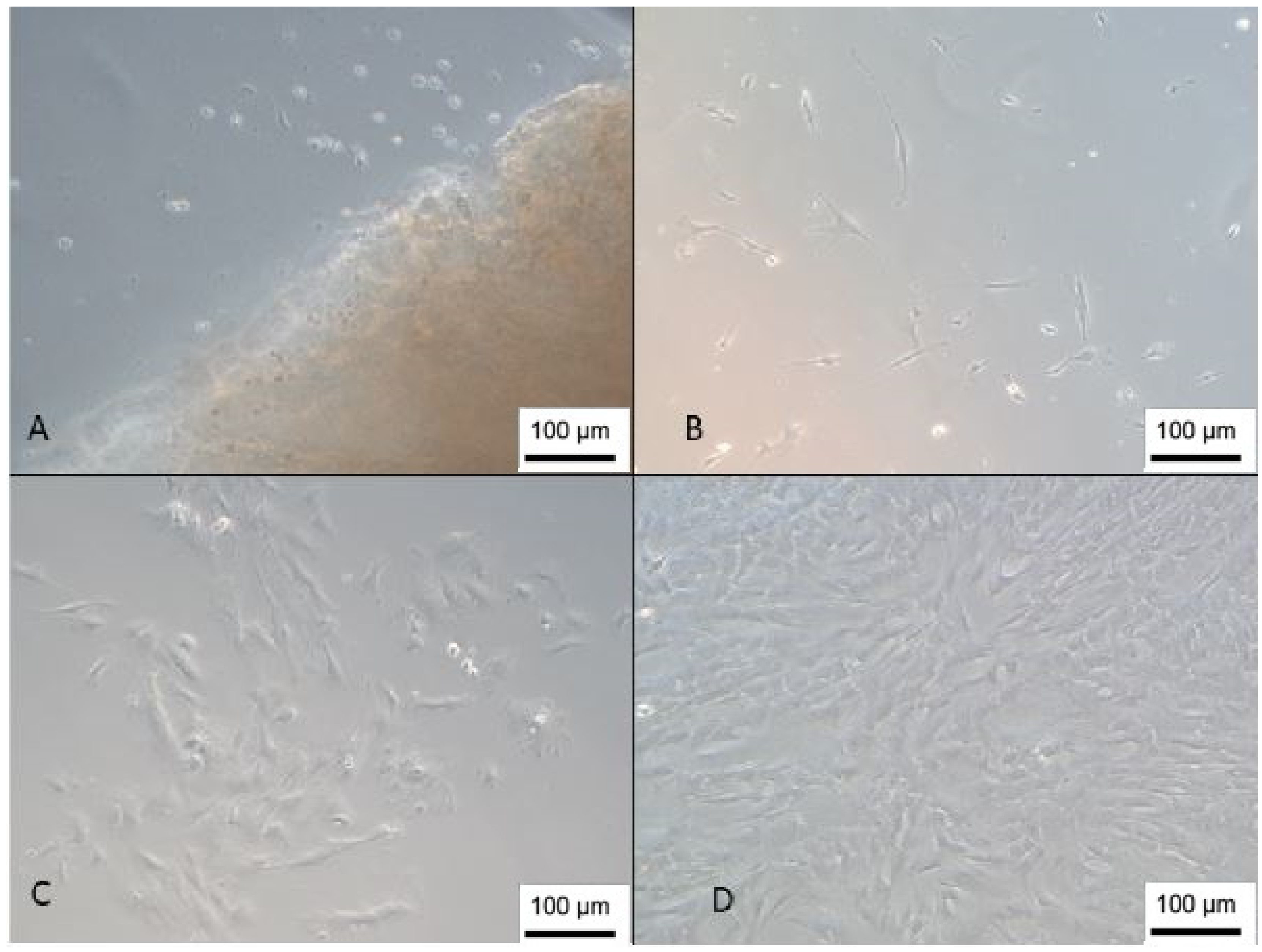 Membranes 12 00873 g001