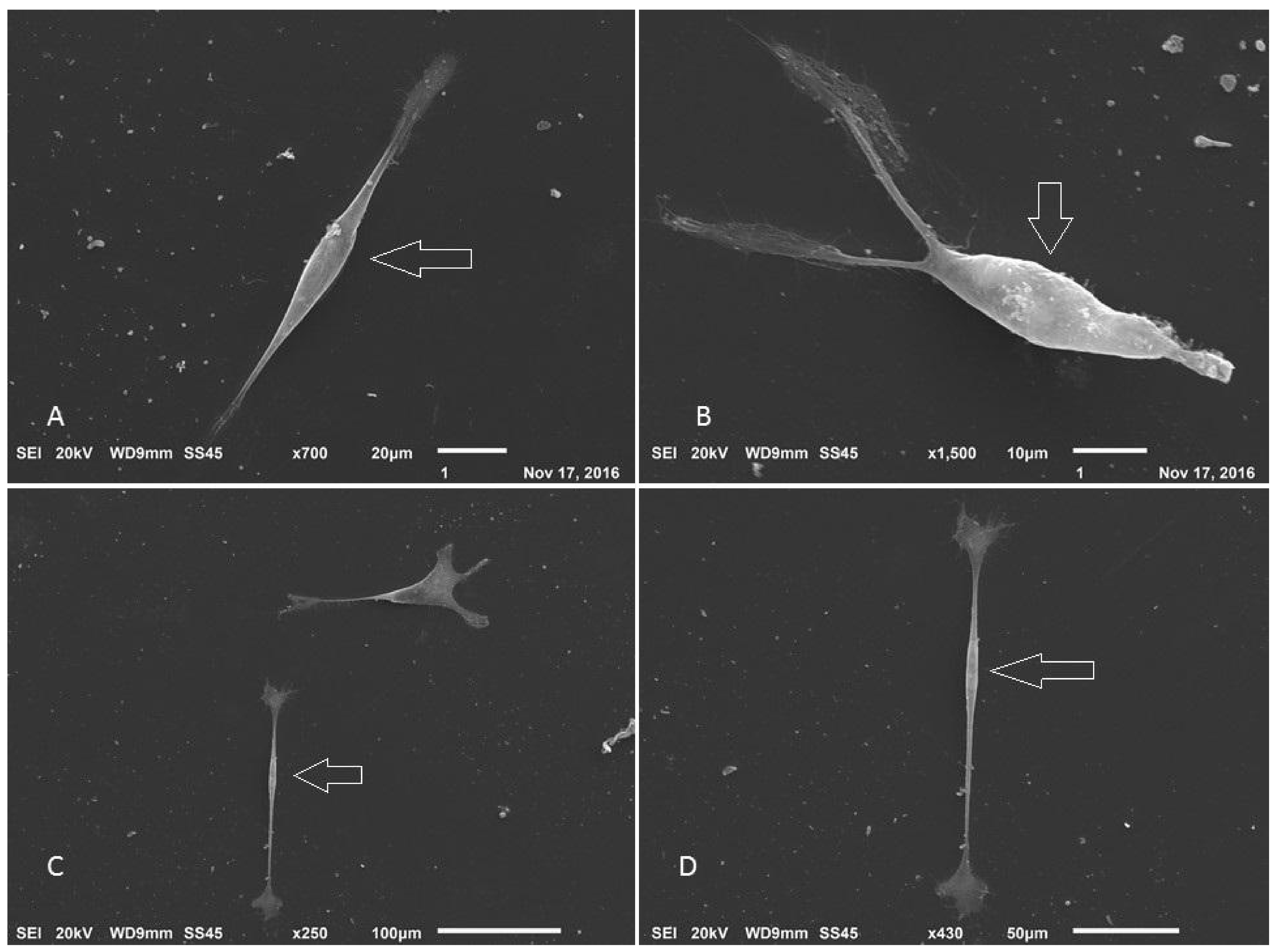 Membranes 12 00873 g016