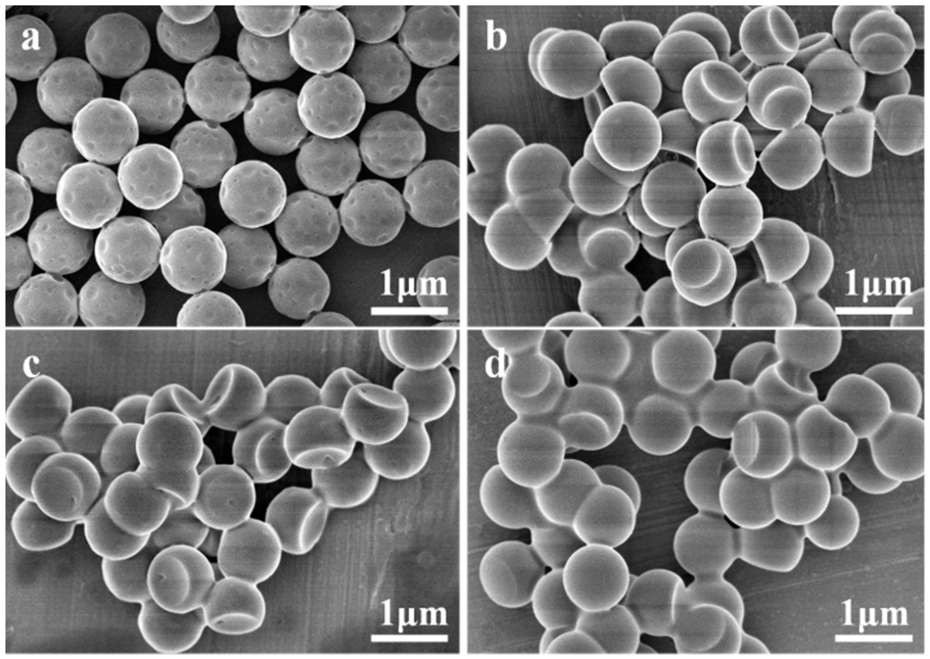 Membranes 12 00876 g003