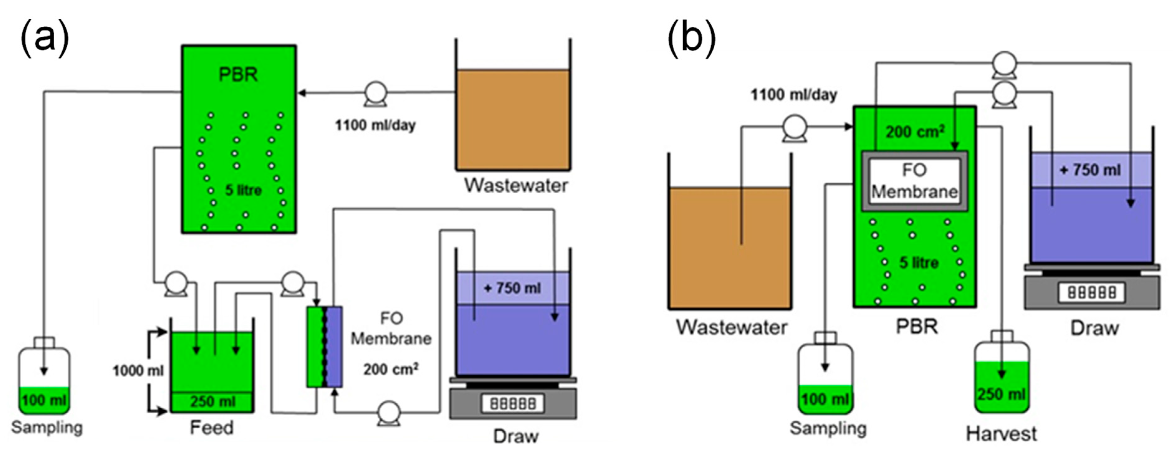 Membranes 12 00892 g001 Membranes 12 00892 g001