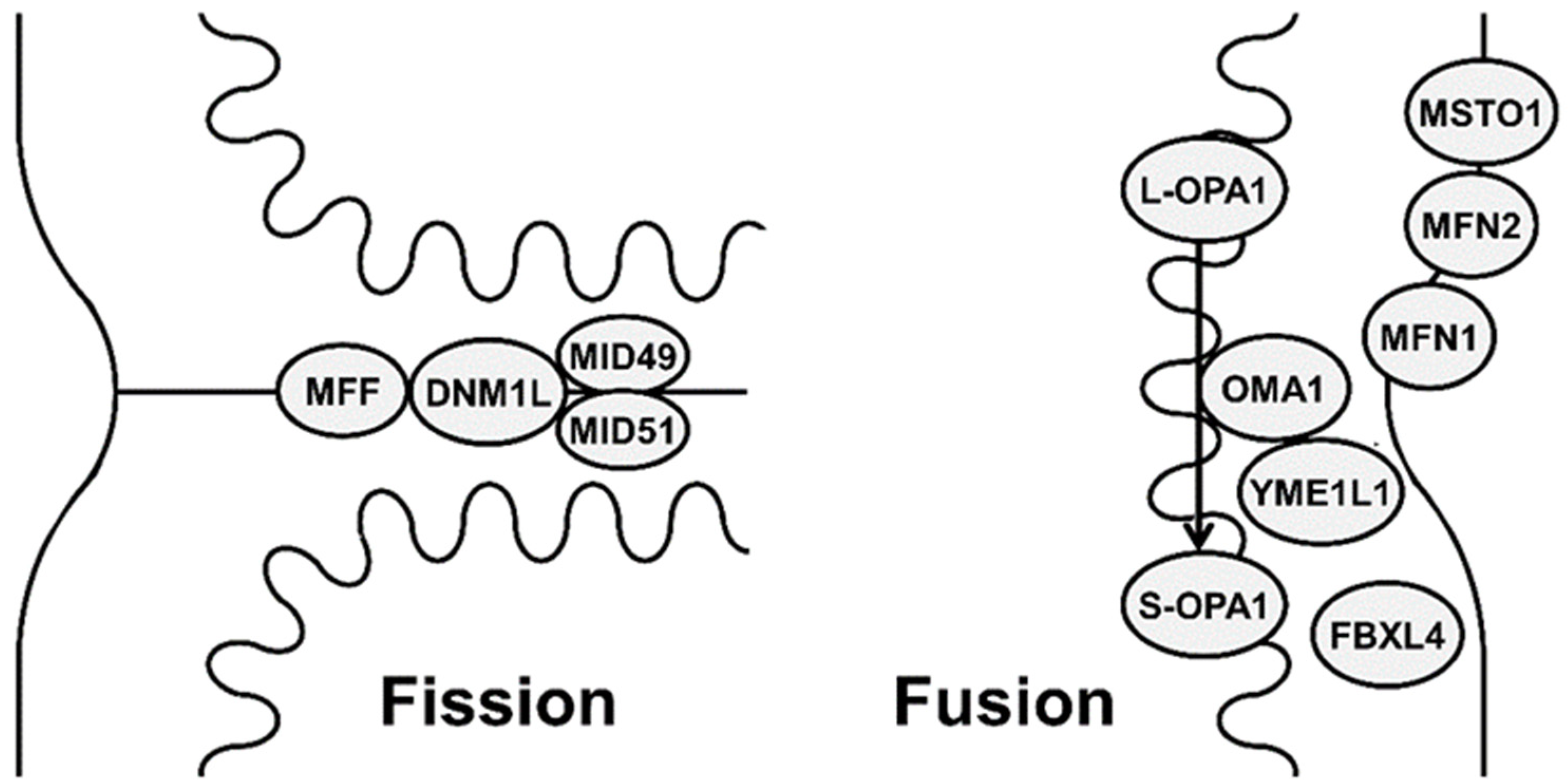 Membranes 12 00893 g001 Membranes 12 00893 g001