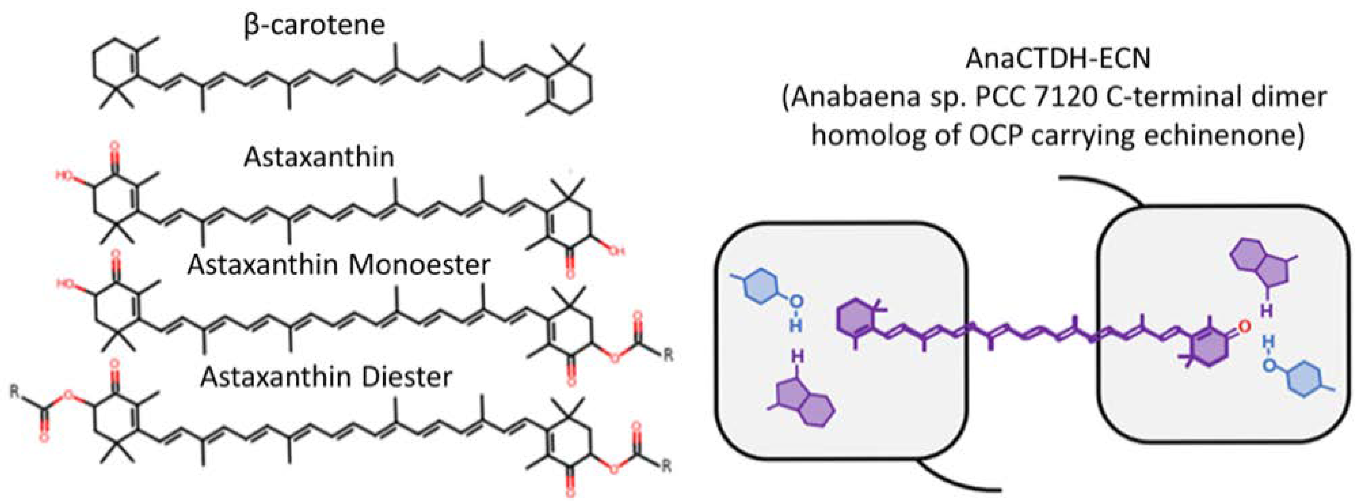 Membranes 12 00905 g001 Membranes 12 00905 g001