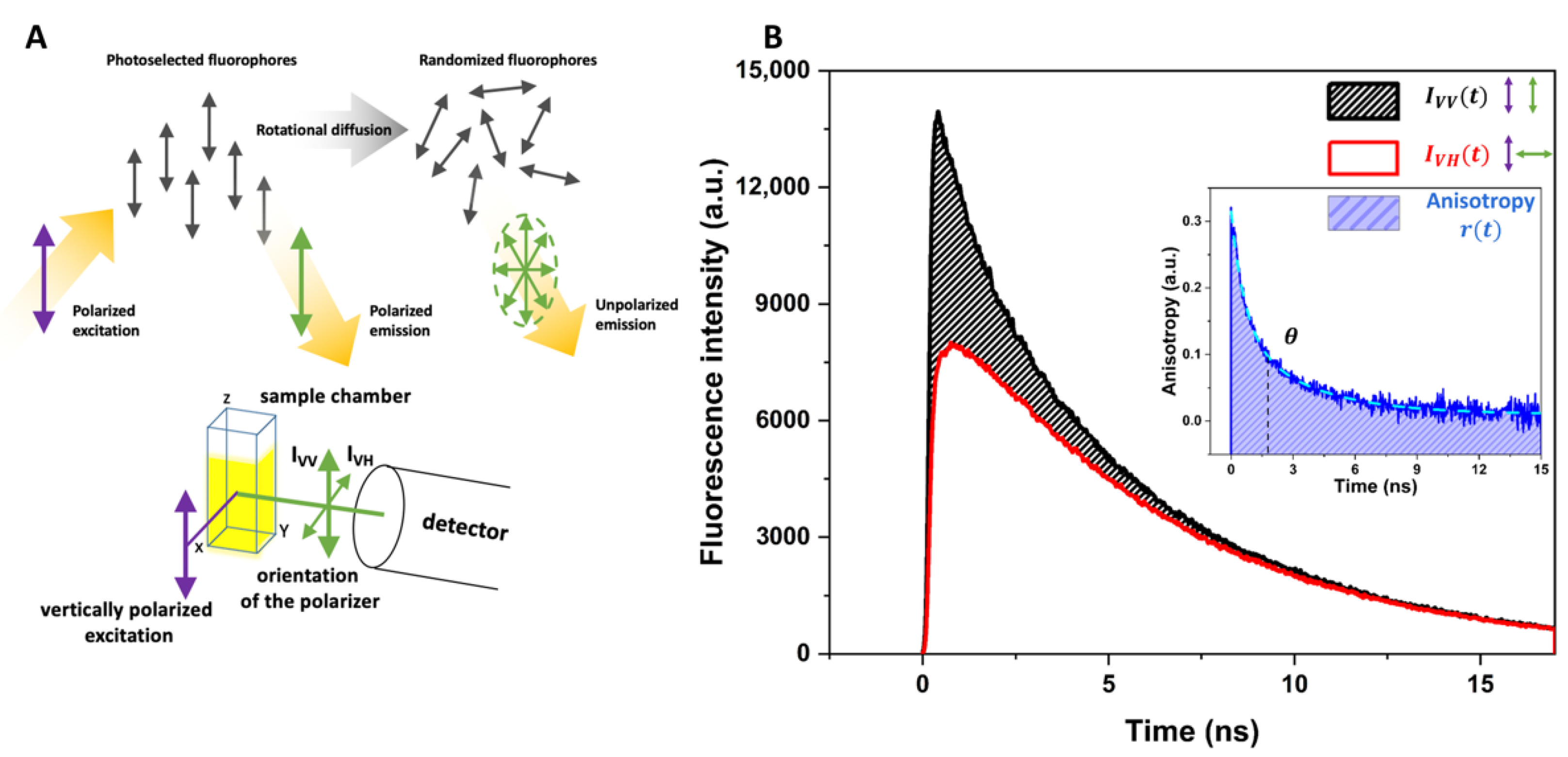 Membranes 12 00905 g003 Membranes 12 00905 g003