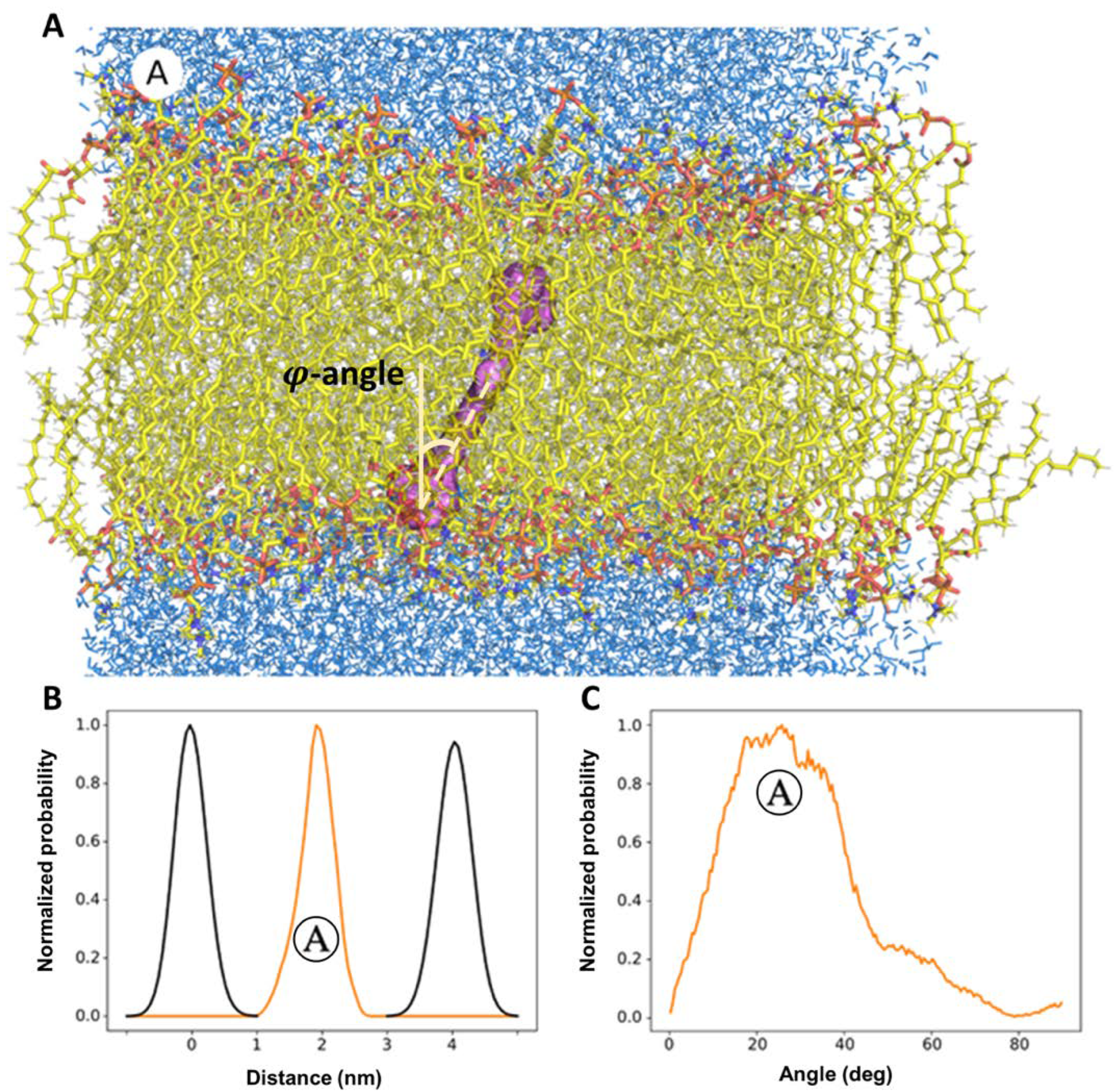 Membranes 12 00905 g005 Membranes 12 00905 g005