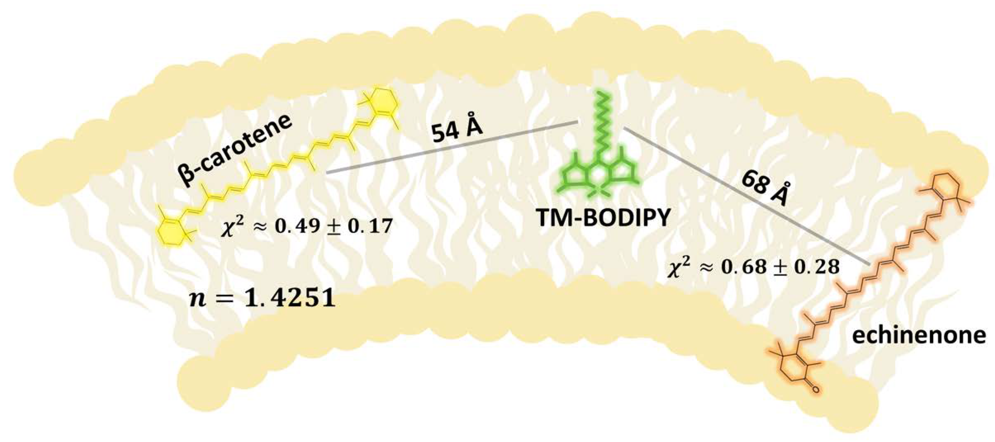 Membranes 12 00905 g008 Membranes 12 00905 g008