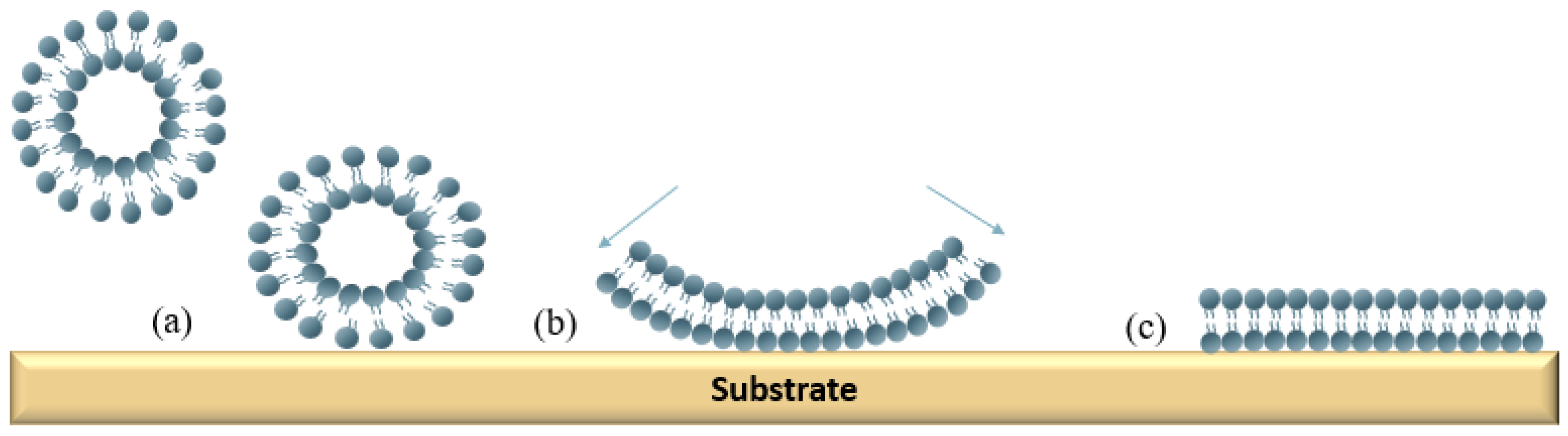 Membranes 12 00906 g003 Membranes 12 00906 g003