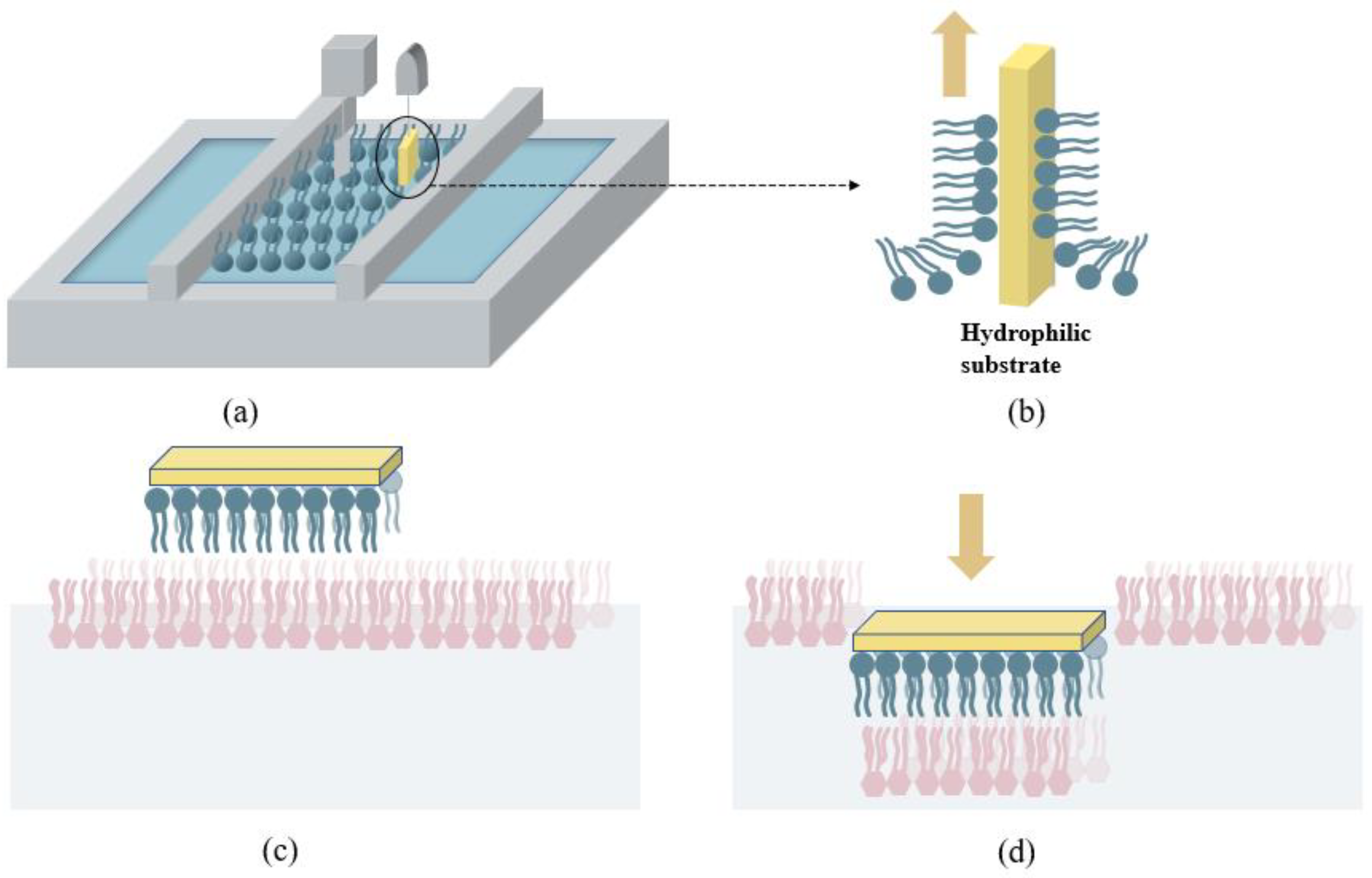 Membranes 12 00906 g004 Membranes 12 00906 g004