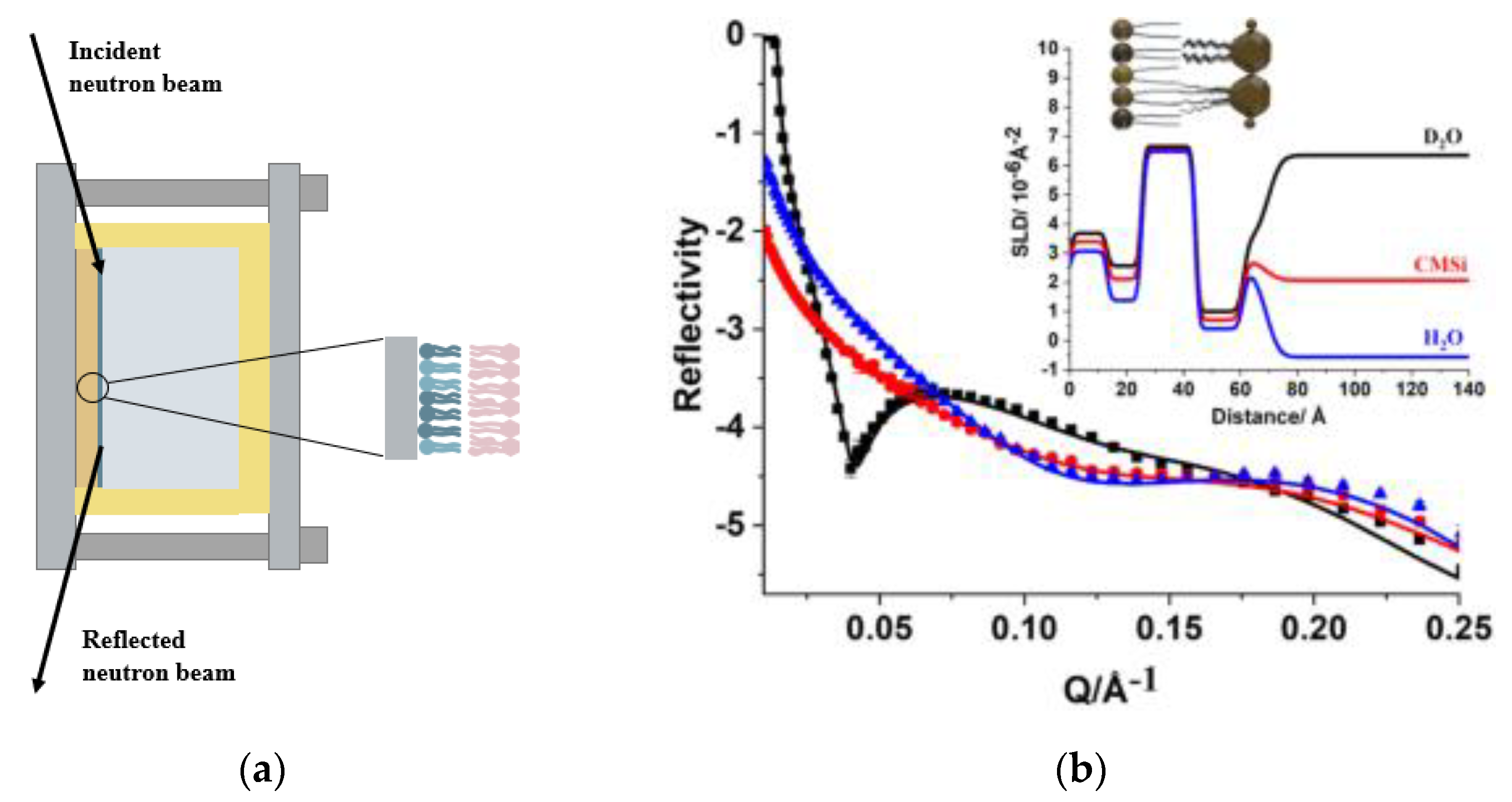 Membranes 12 00906 g007 Membranes 12 00906 g007