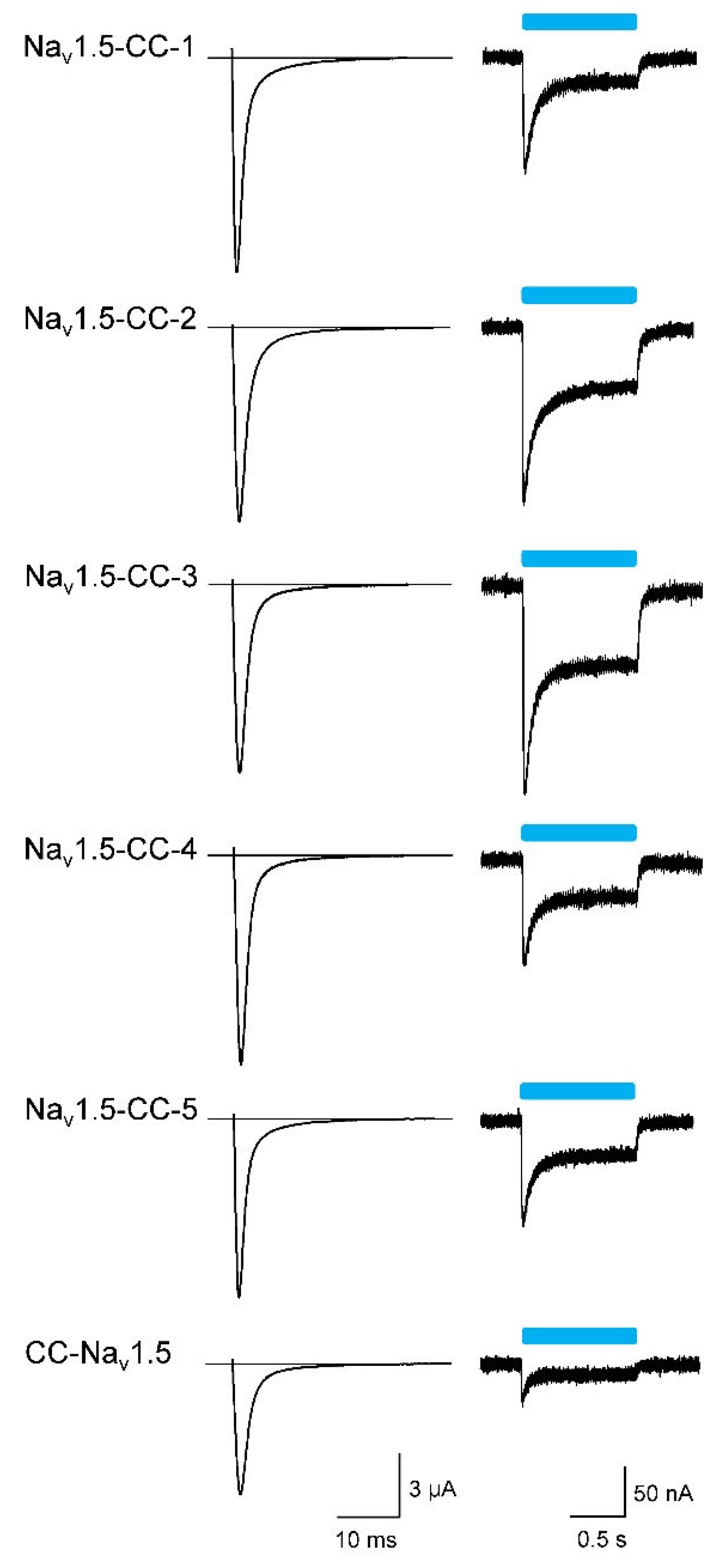 Membranes 12 00907 g002 Membranes 12 00907 g002