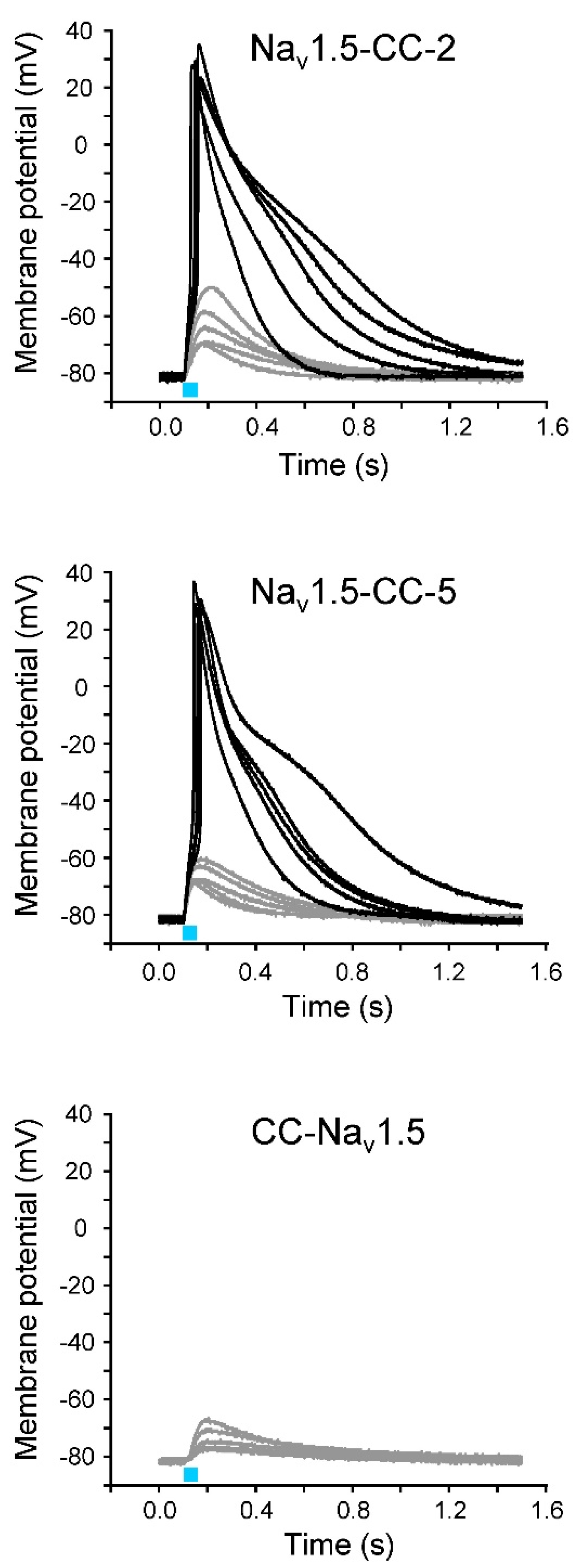 Membranes 12 00907 g003 Membranes 12 00907 g003