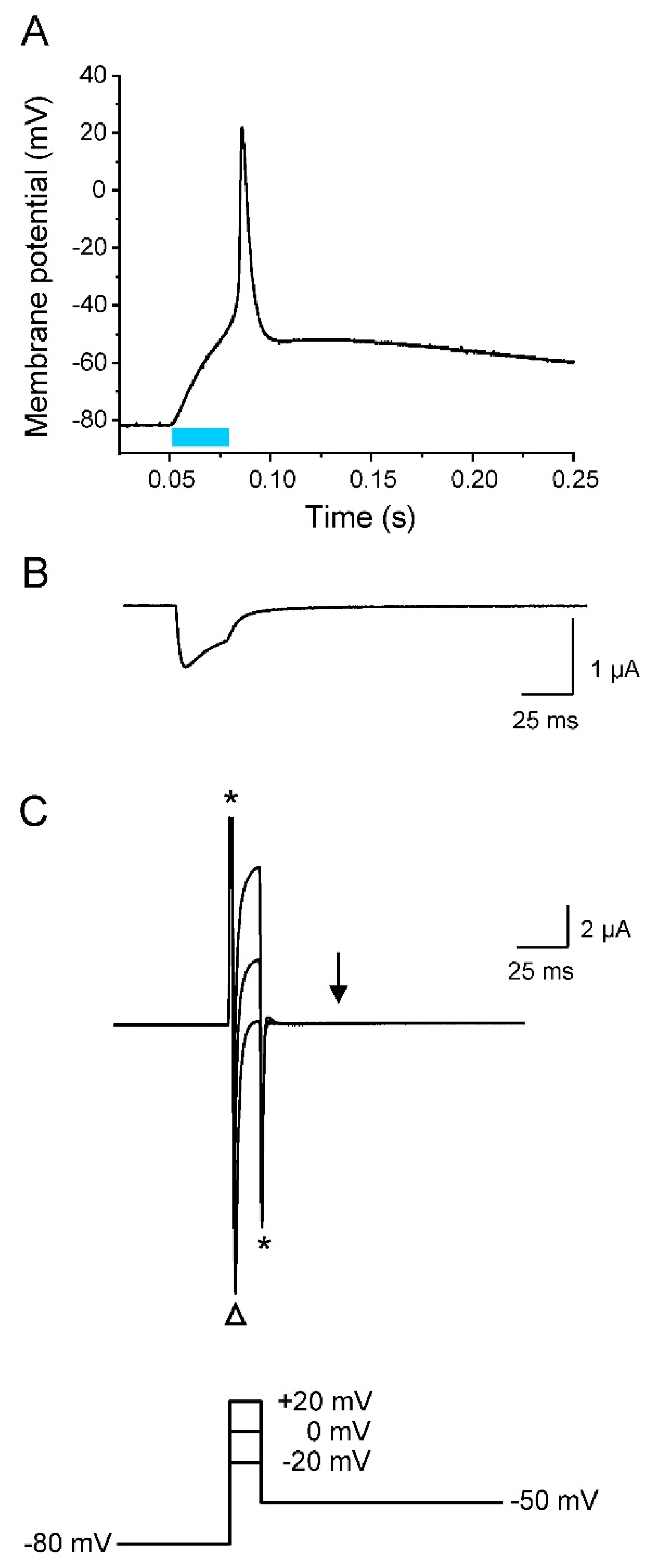 Membranes 12 00907 g006 Membranes 12 00907 g006