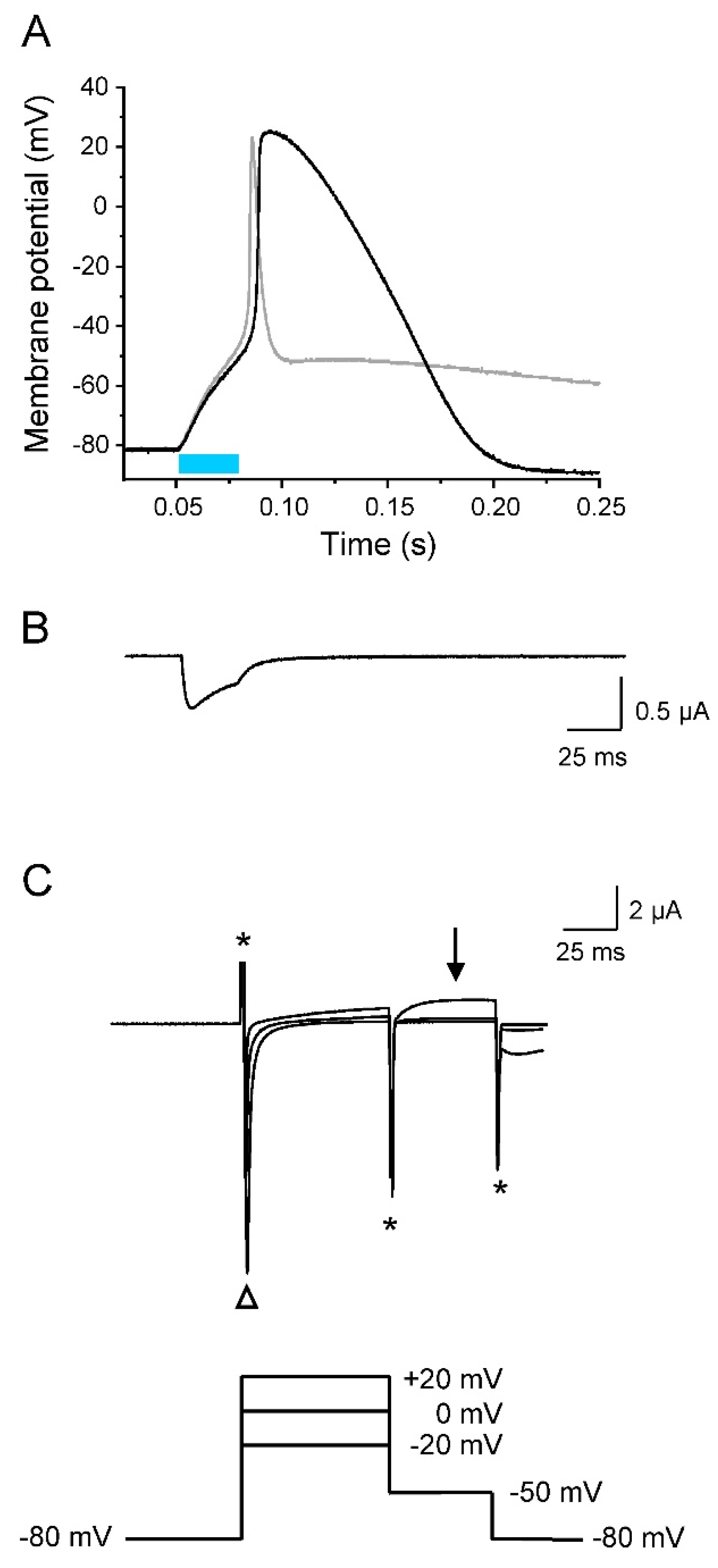 Membranes 12 00907 g008 Membranes 12 00907 g008