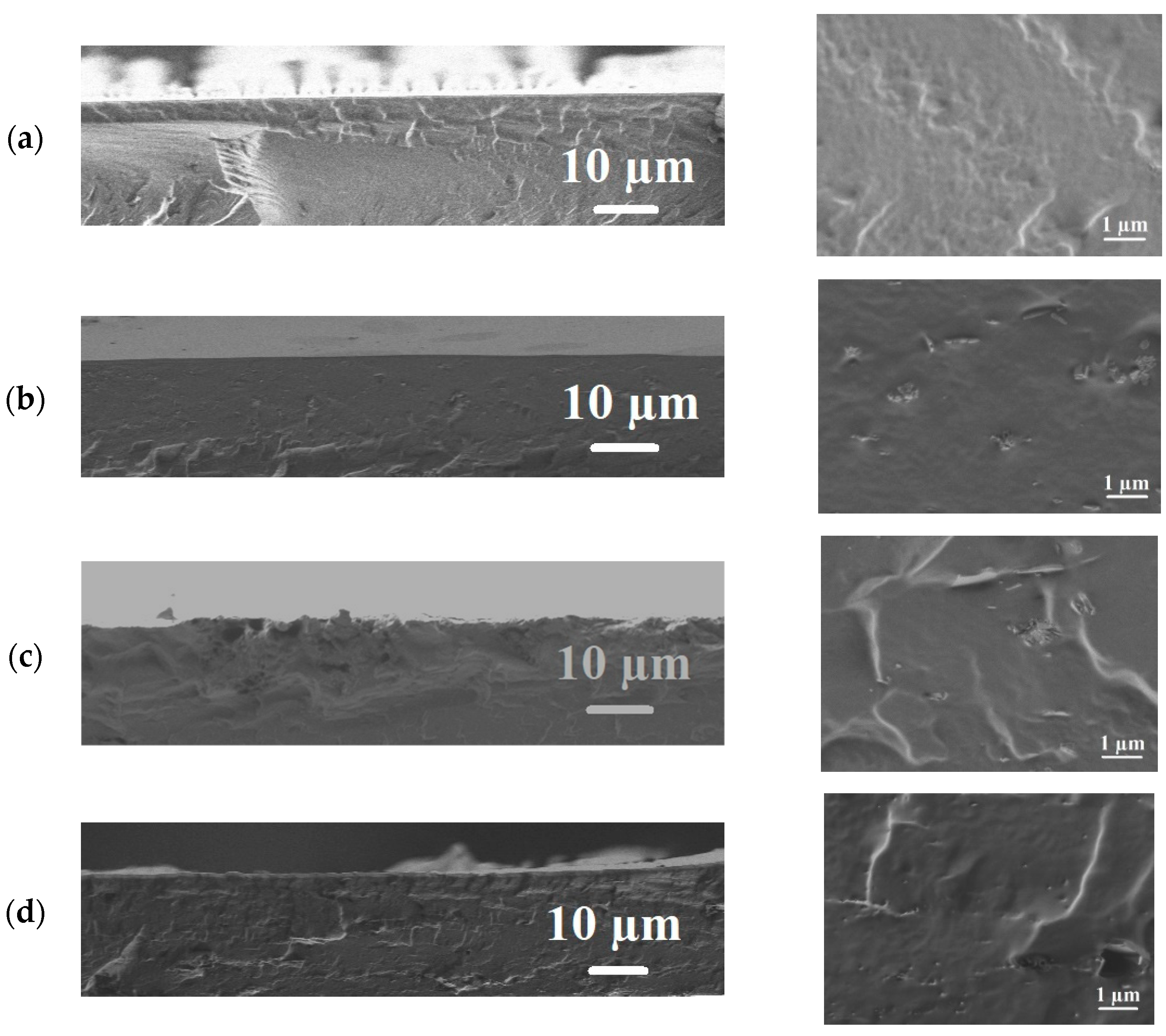 Membranes 12 00908 g006