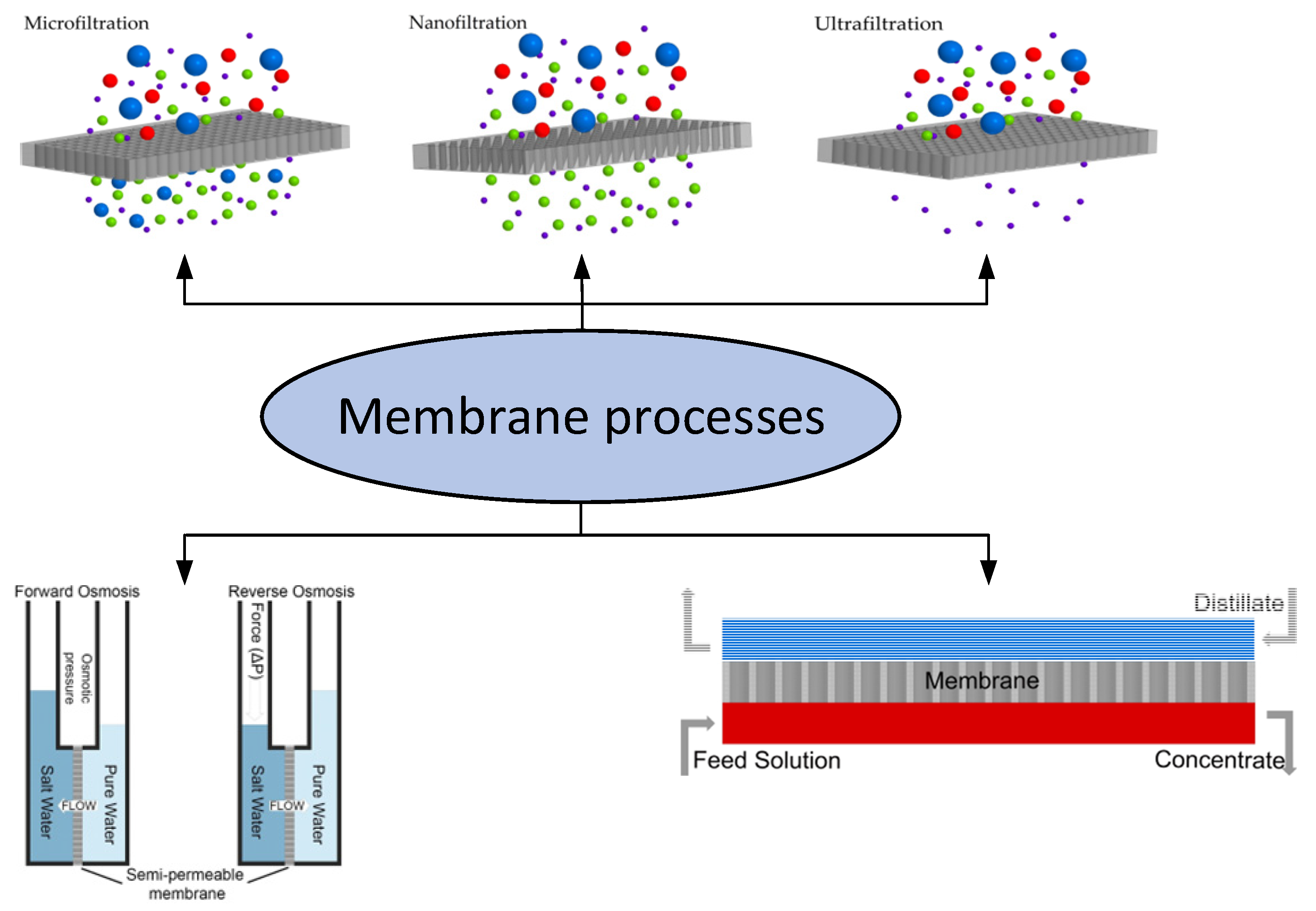 Membranes 12 00915 g001 Membranes 12 00915 g001