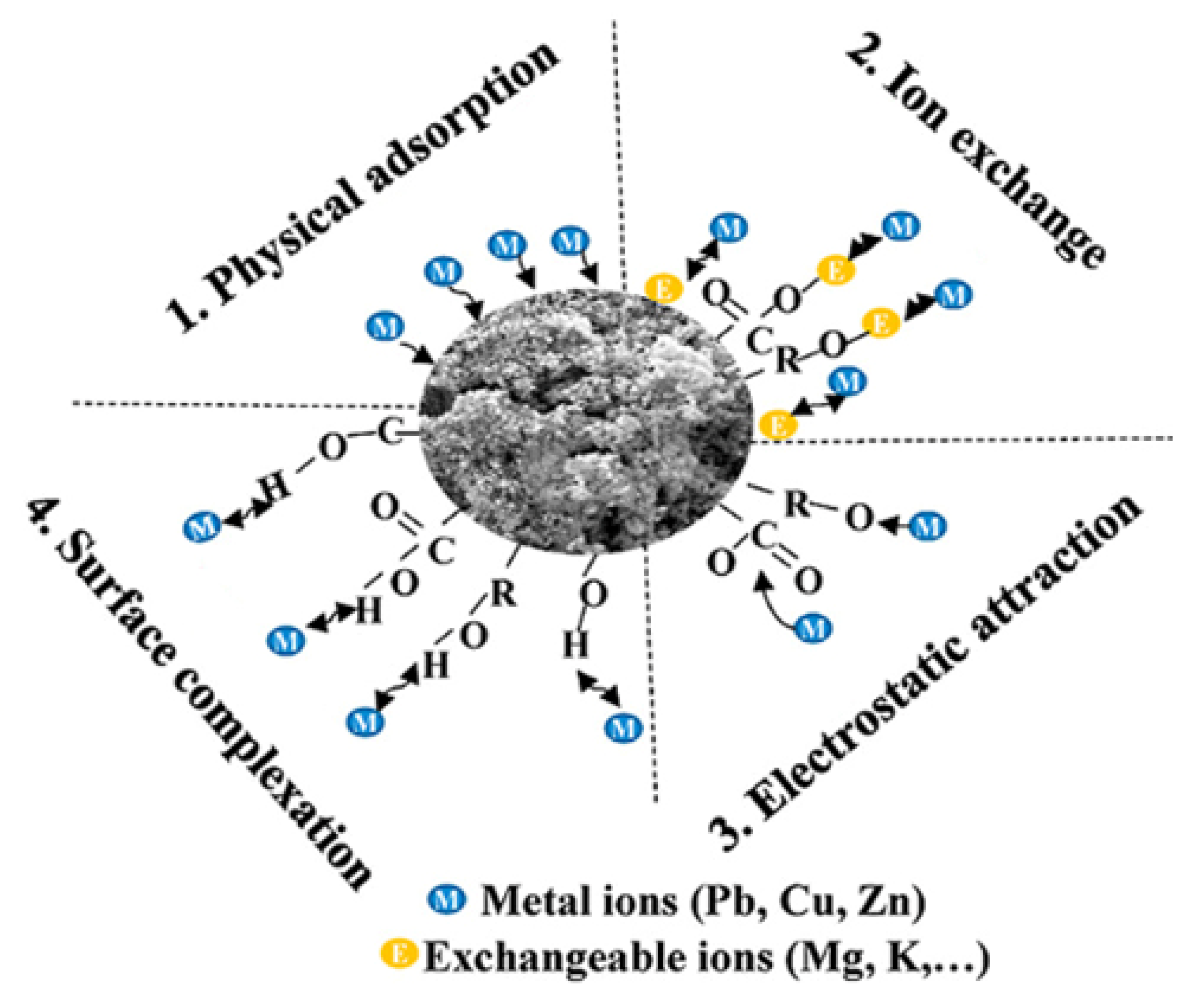Membranes 12 00915 g005 Membranes 12 00915 g005