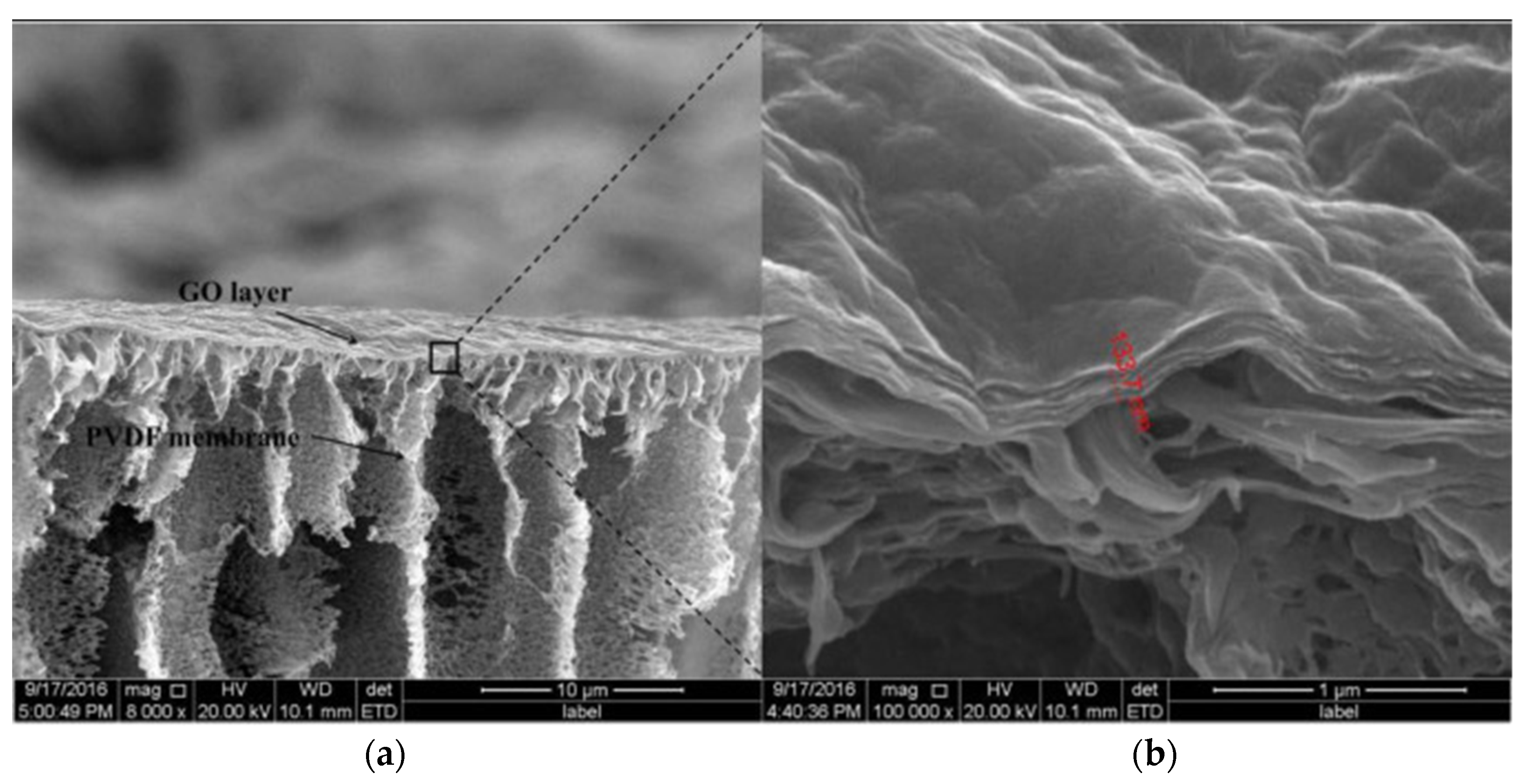 Membranes 12 00915 g014 Membranes 12 00915 g014