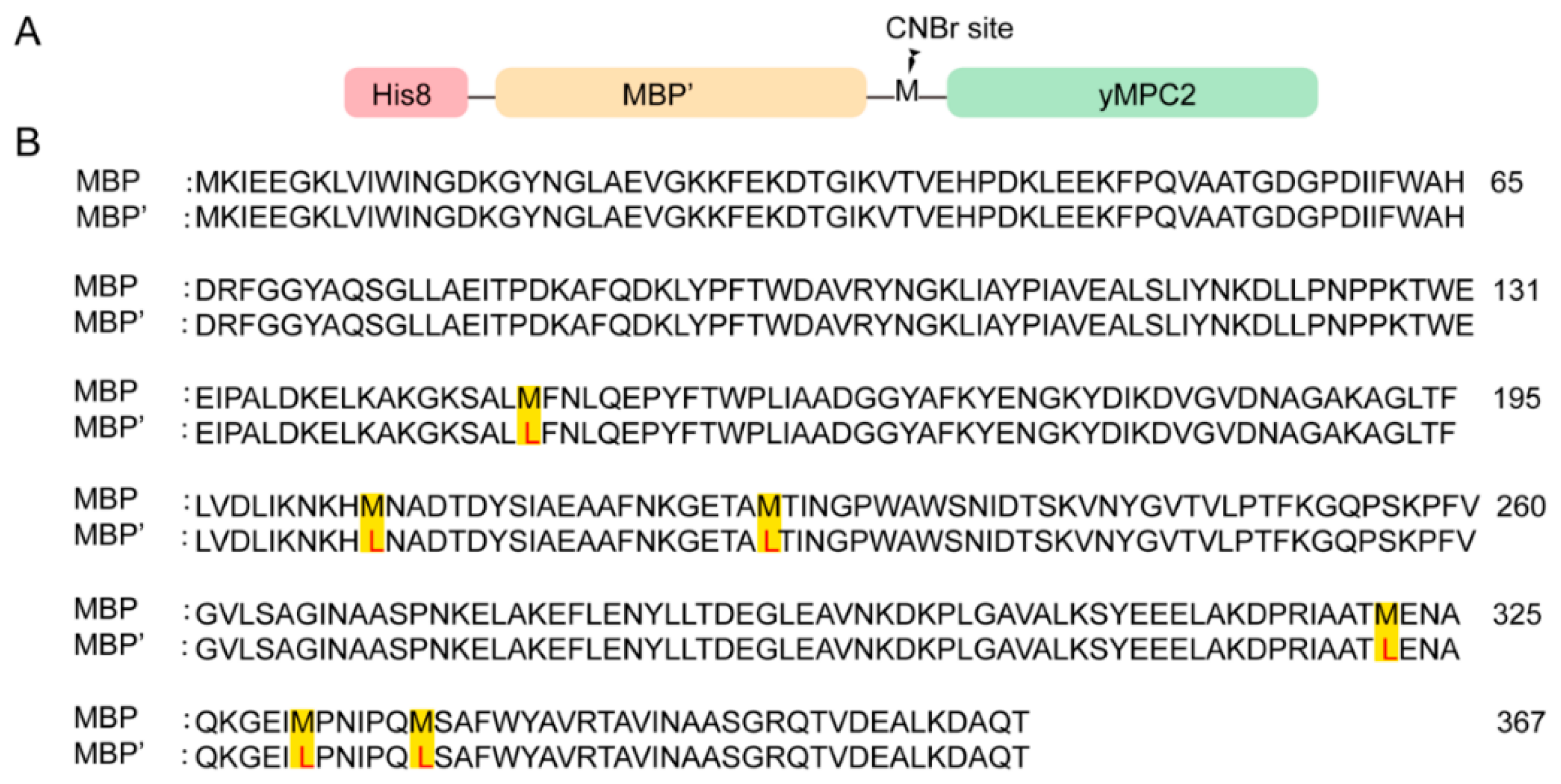 Membranes 12 00916 g001