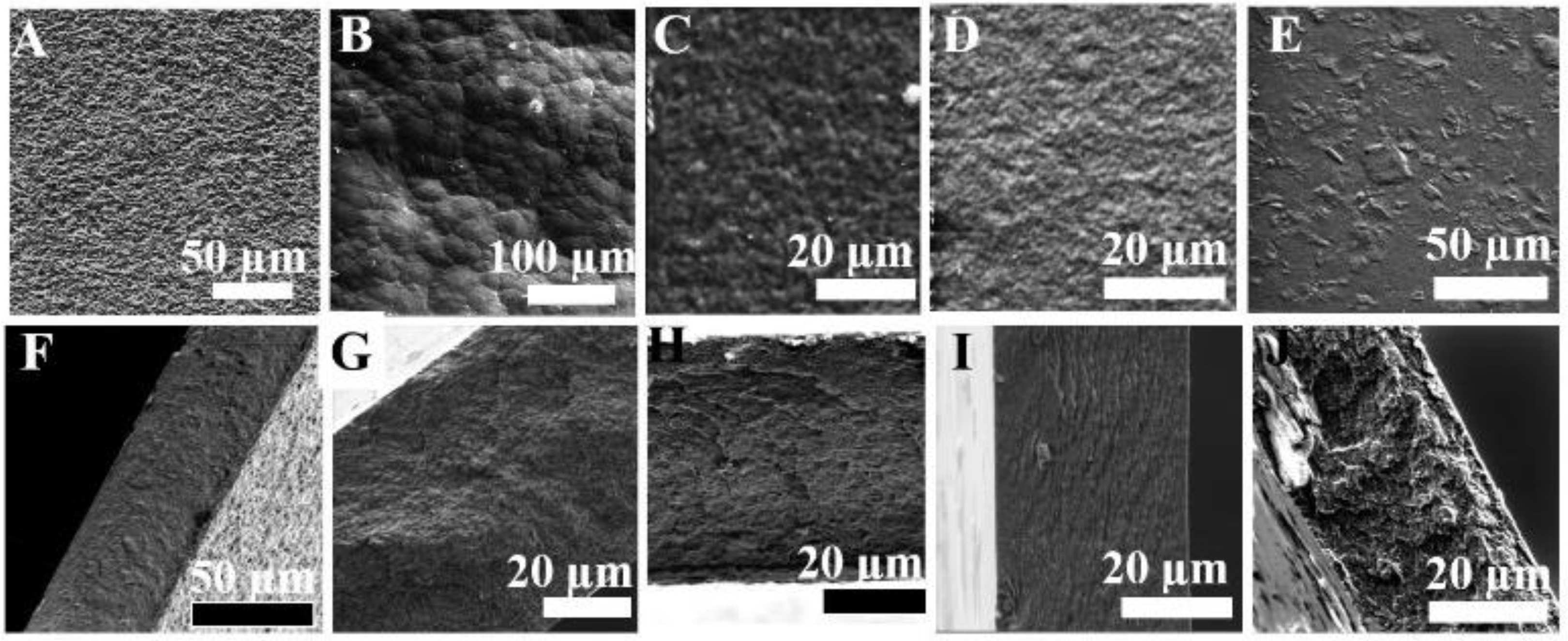 Membranes 12 00917 g003