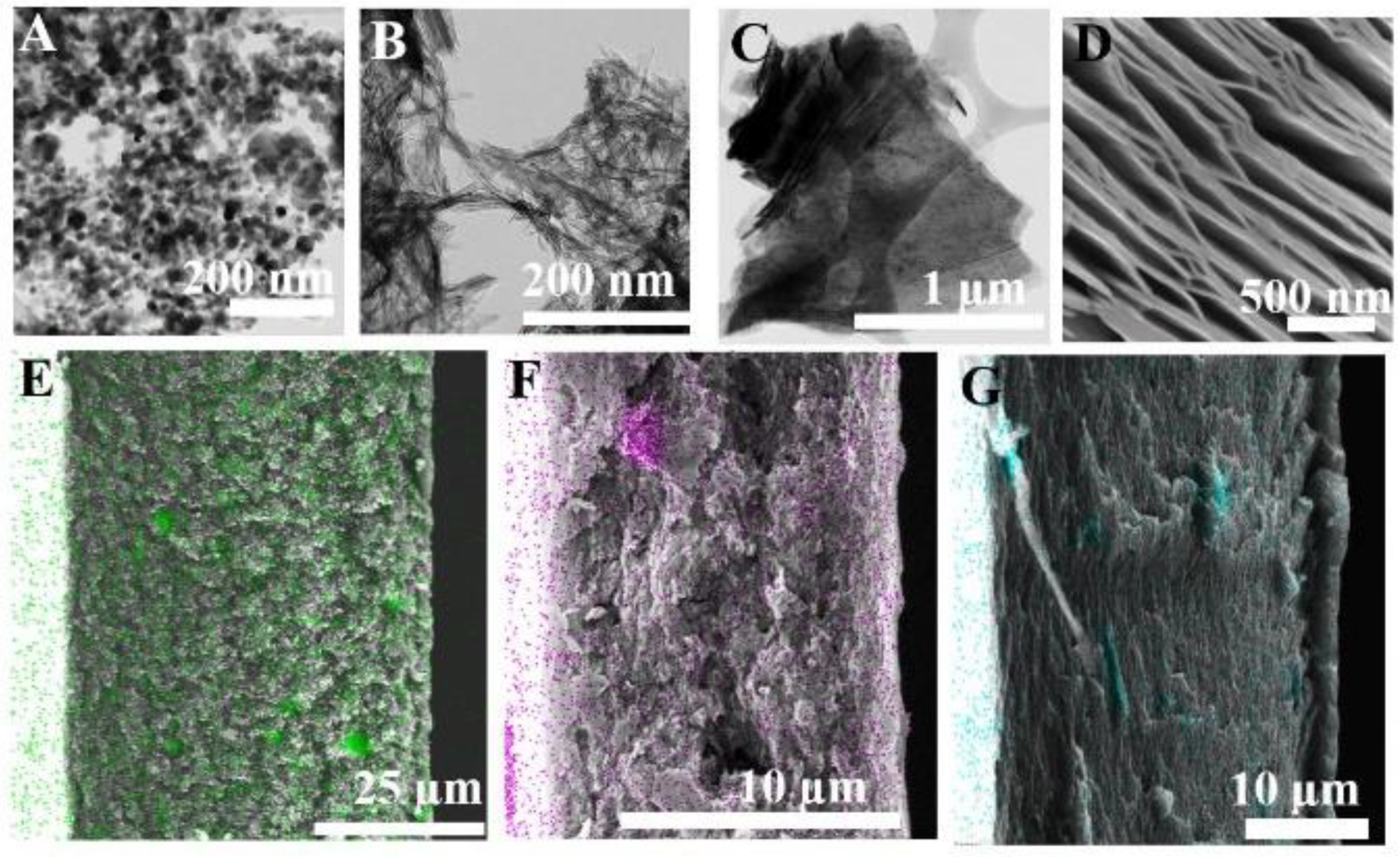 Membranes 12 00917 g011