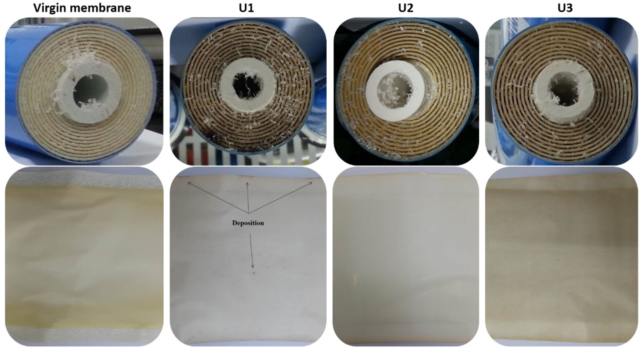 Membranes 12 00918 g003