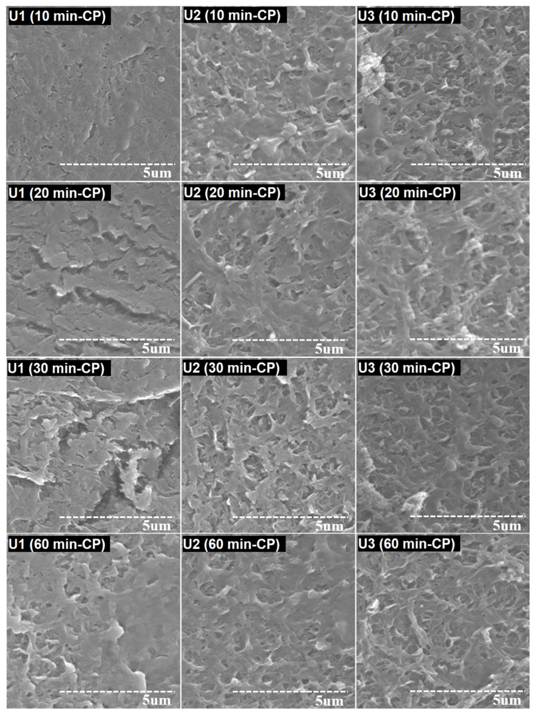 Membranes 12 00918 g007