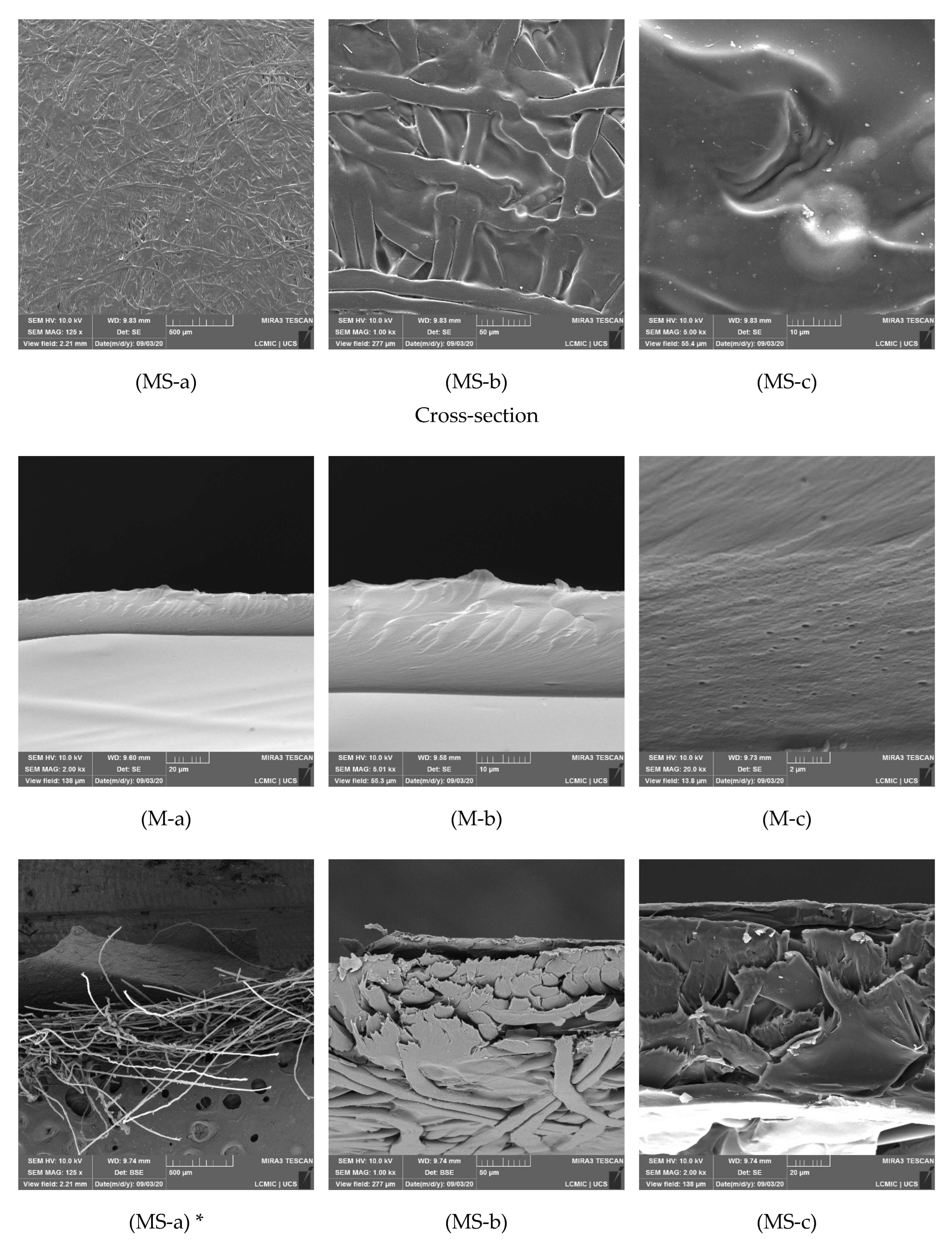 Membranes 12 00930 g005b Membranes 12 00930 g005b