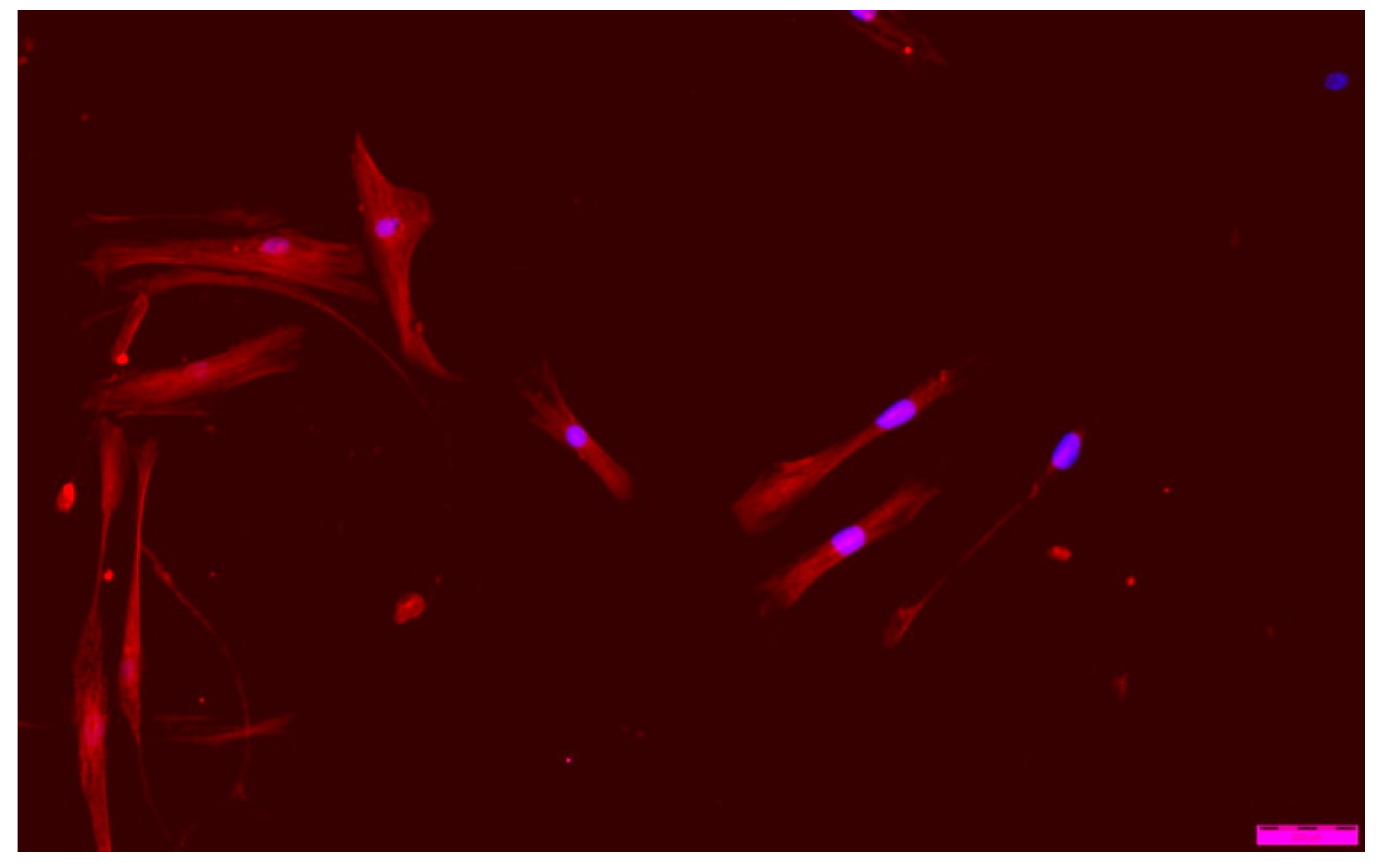 Membranes 12 00936 g012