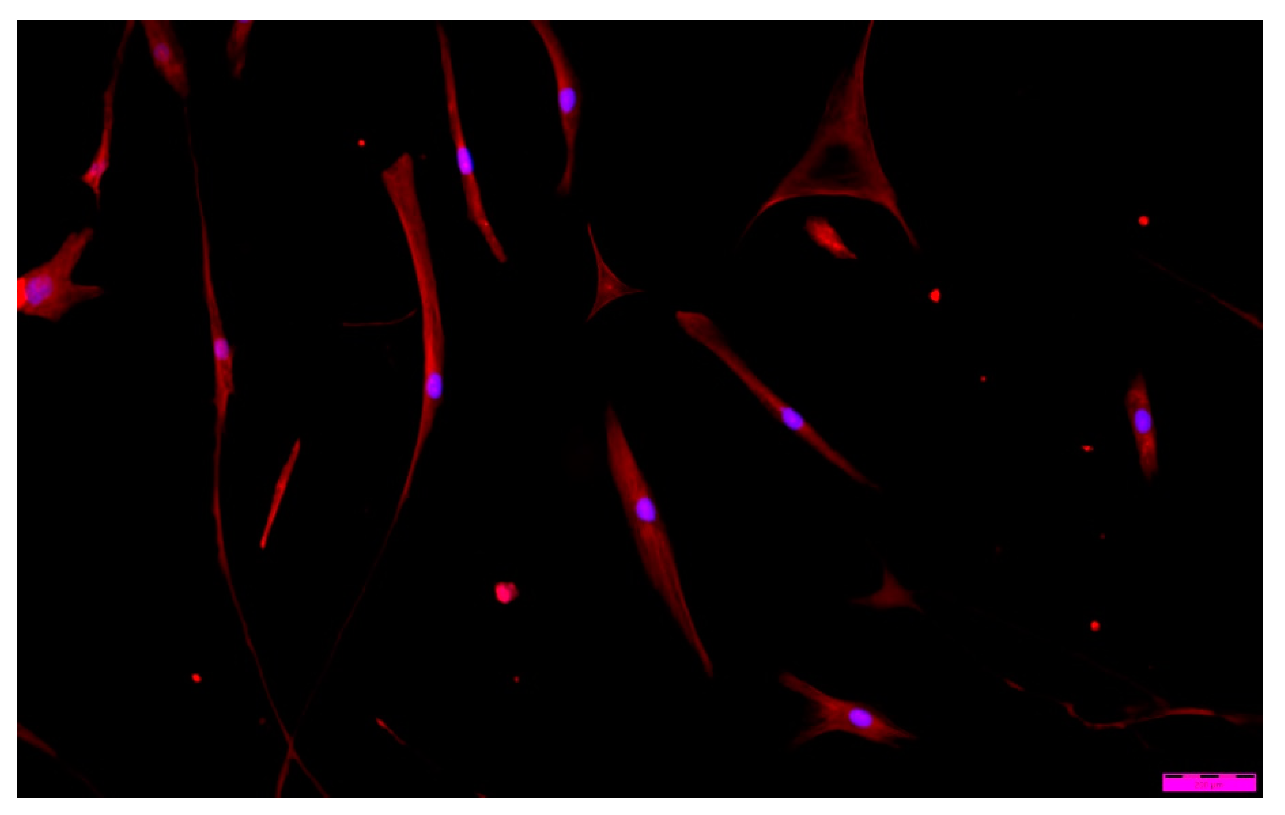 Membranes 12 00936 g013