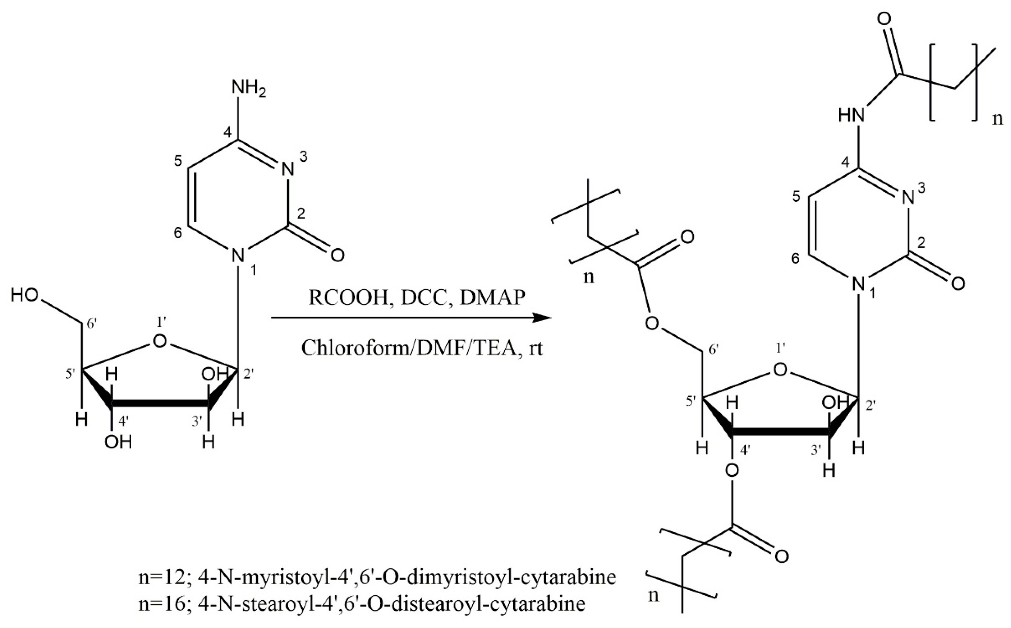 Membranes 12 00937 g001