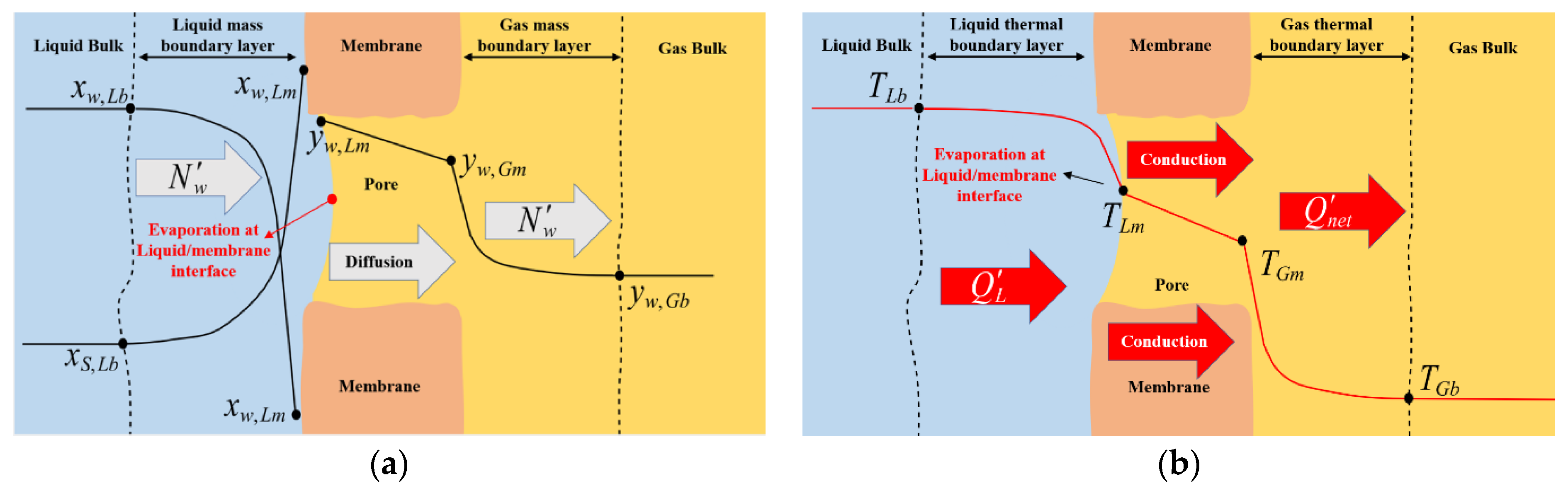 Membranes 12 00939 g003 Membranes 12 00939 g003