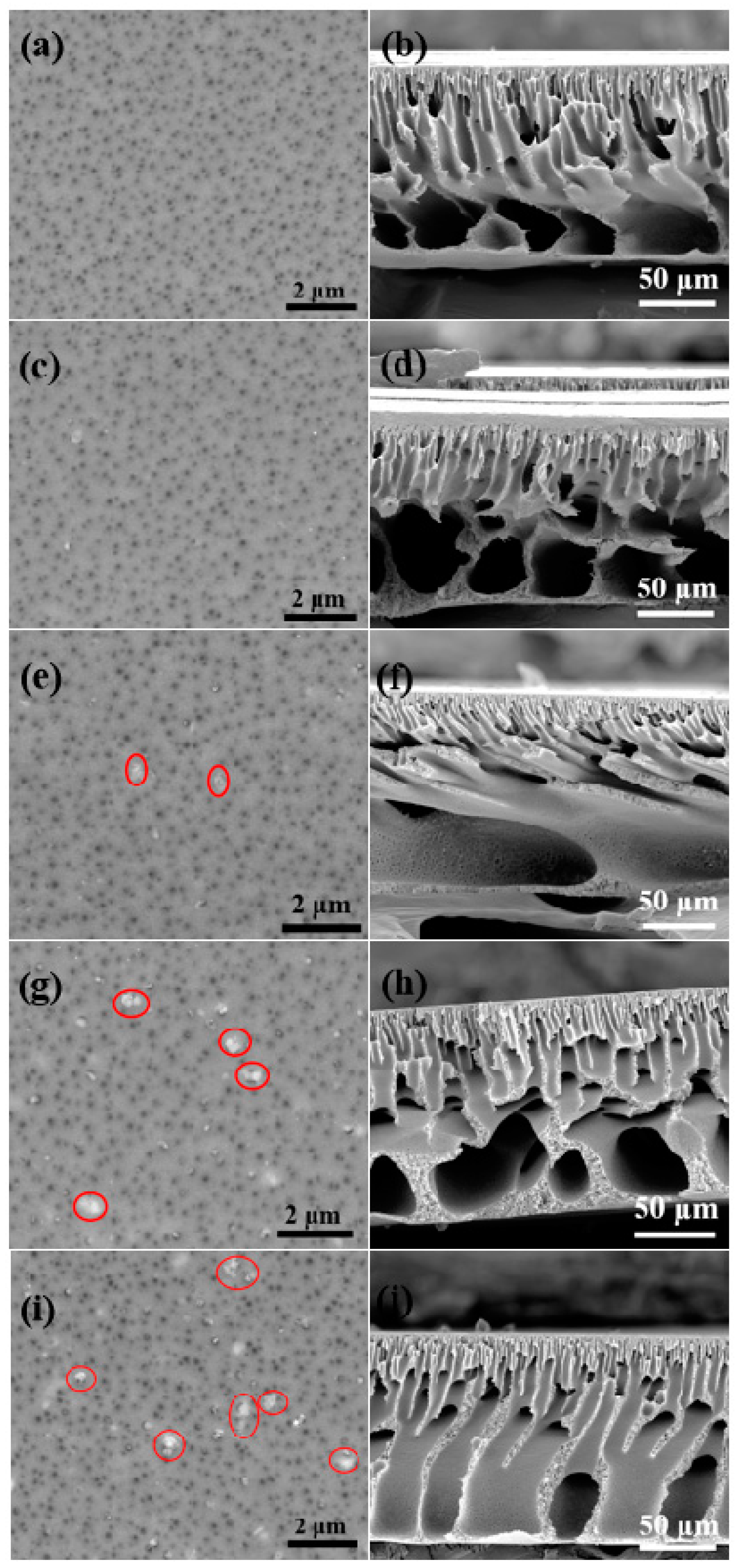 Membranes 12 00940 g003 Membranes 12 00940 g003