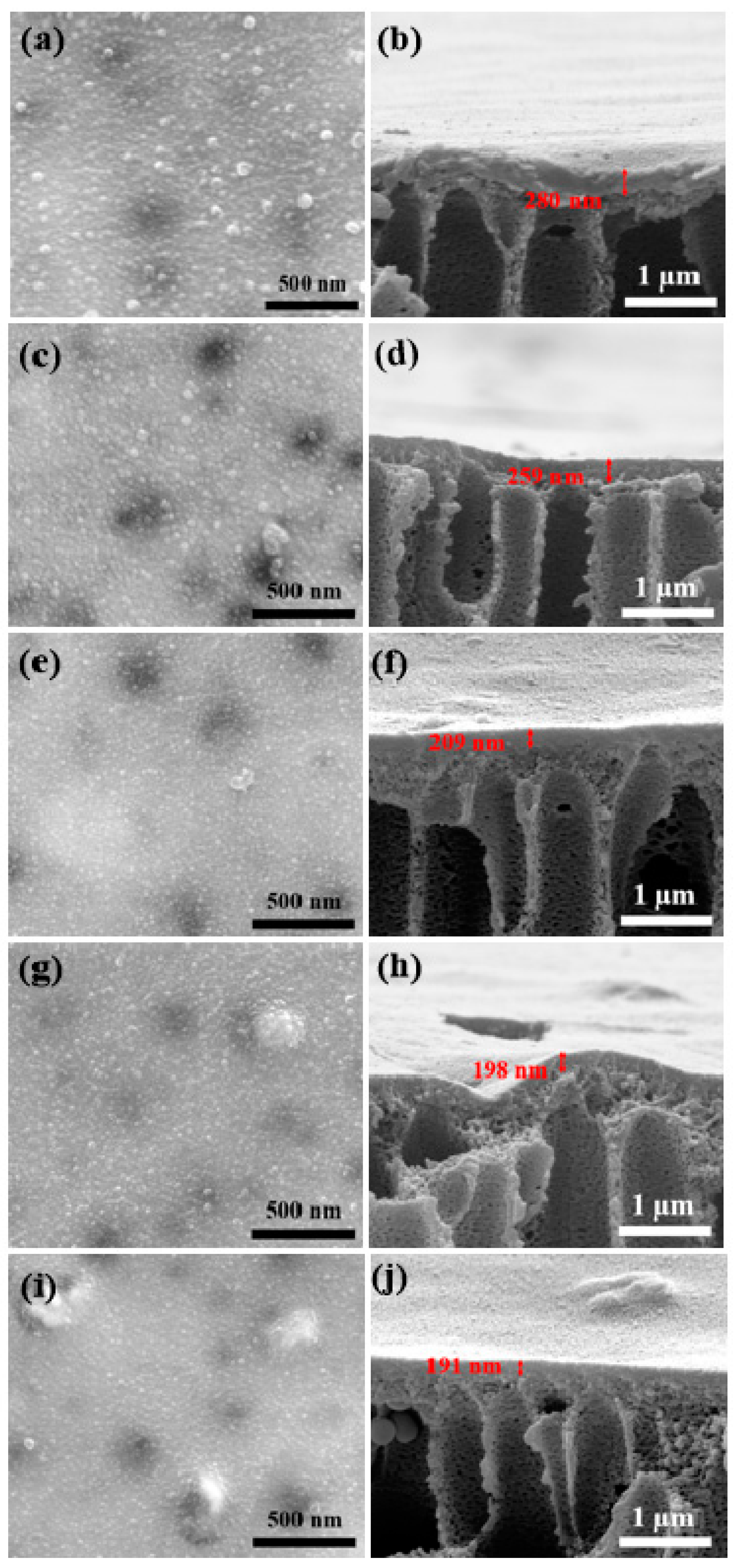 Membranes 12 00940 g005 Membranes 12 00940 g005