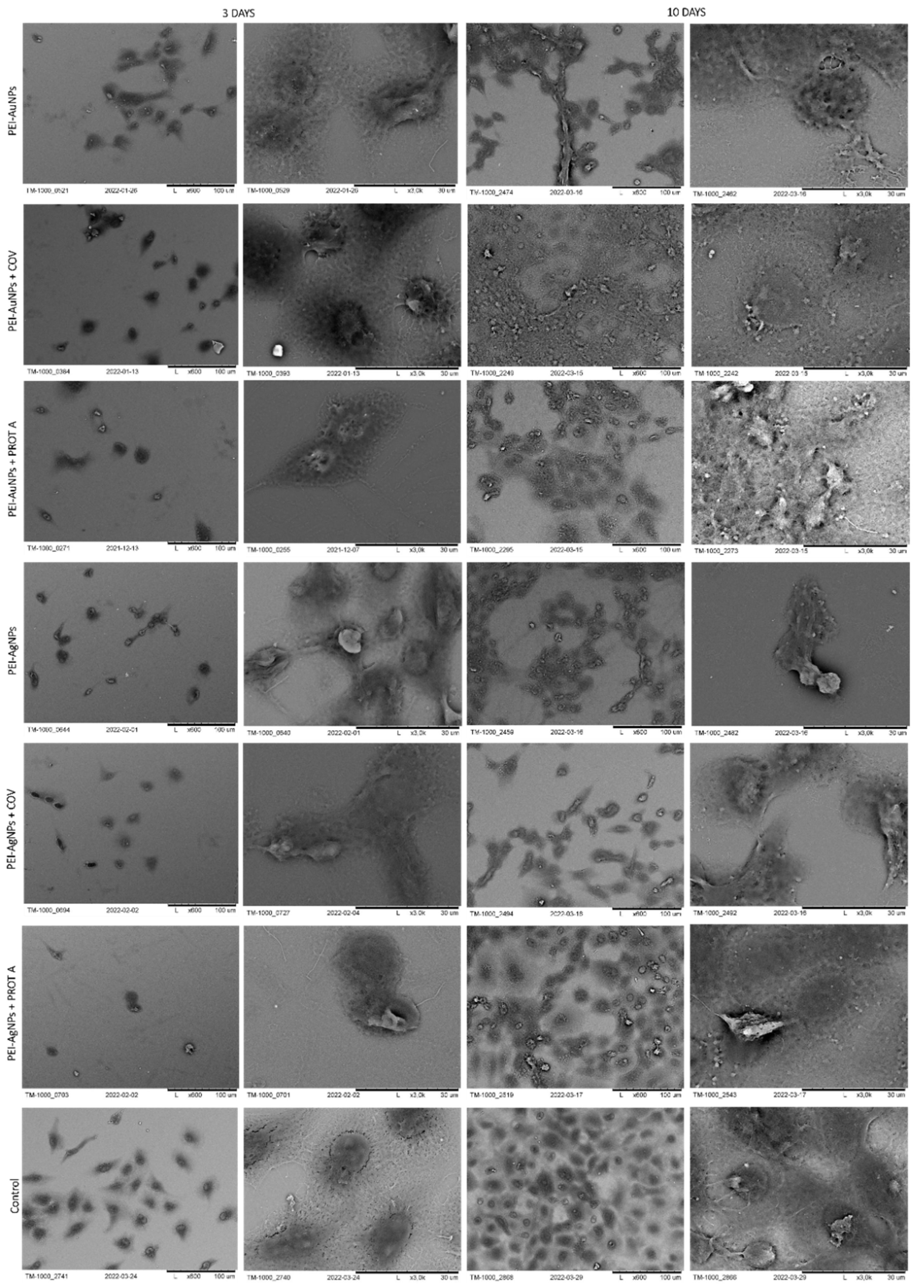 Membranes 12 00946 g006 Membranes 12 00946 g006