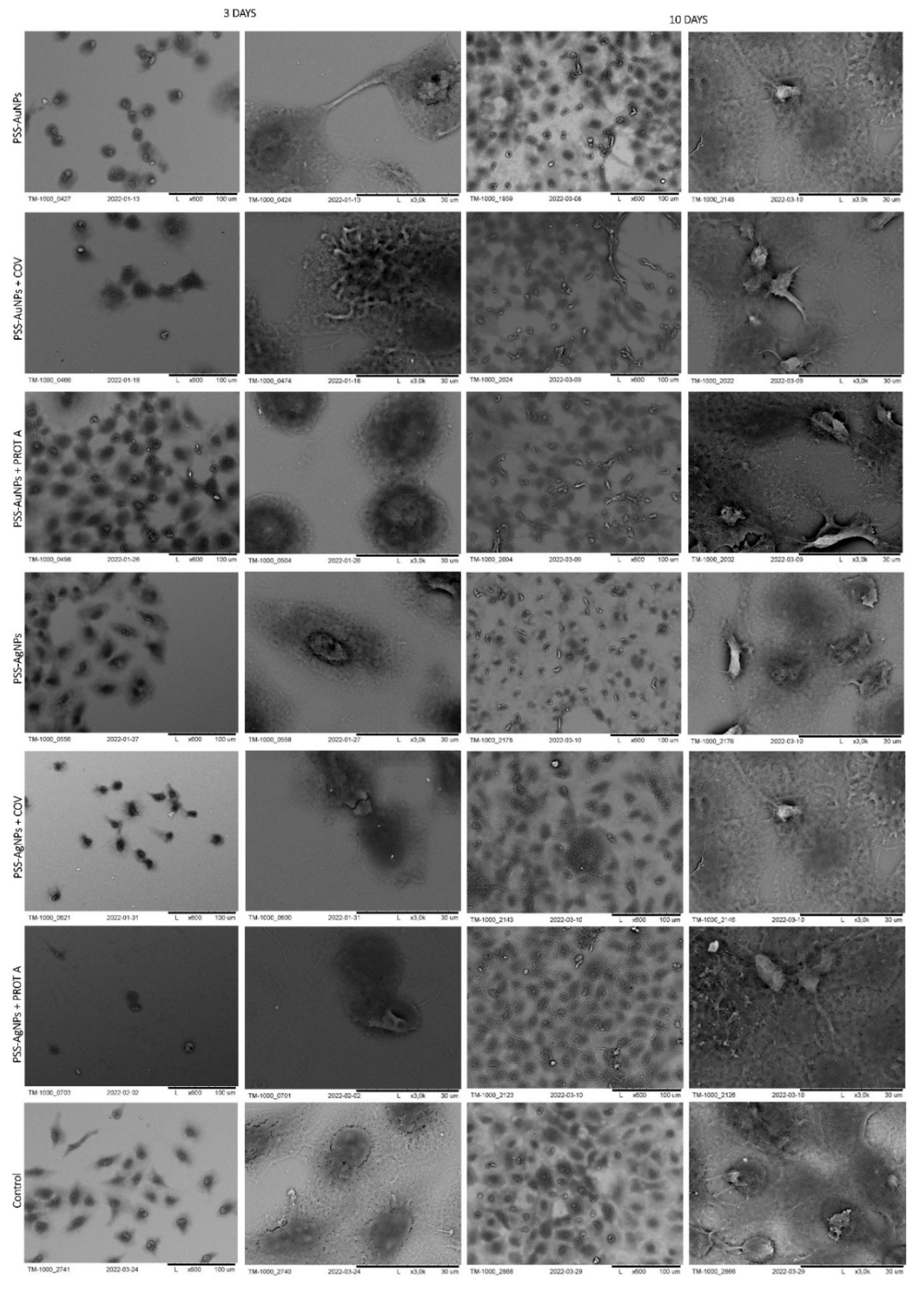 Membranes 12 00946 g008 Membranes 12 00946 g008