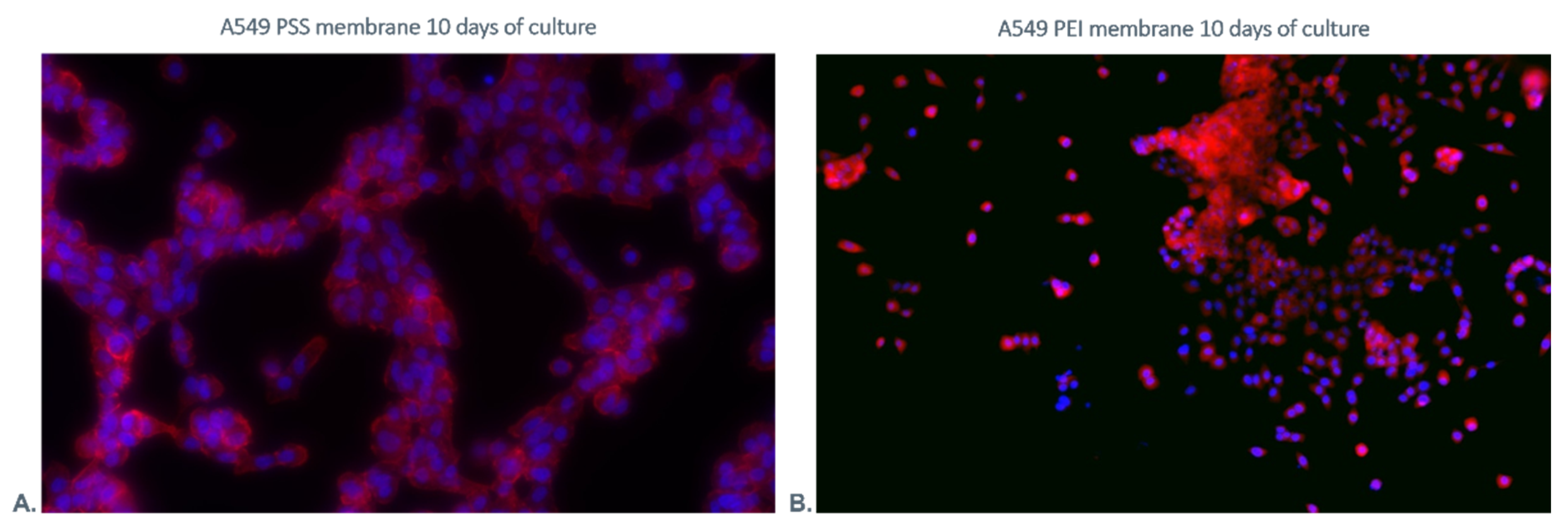 Membranes 12 00946 g012 Membranes 12 00946 g012